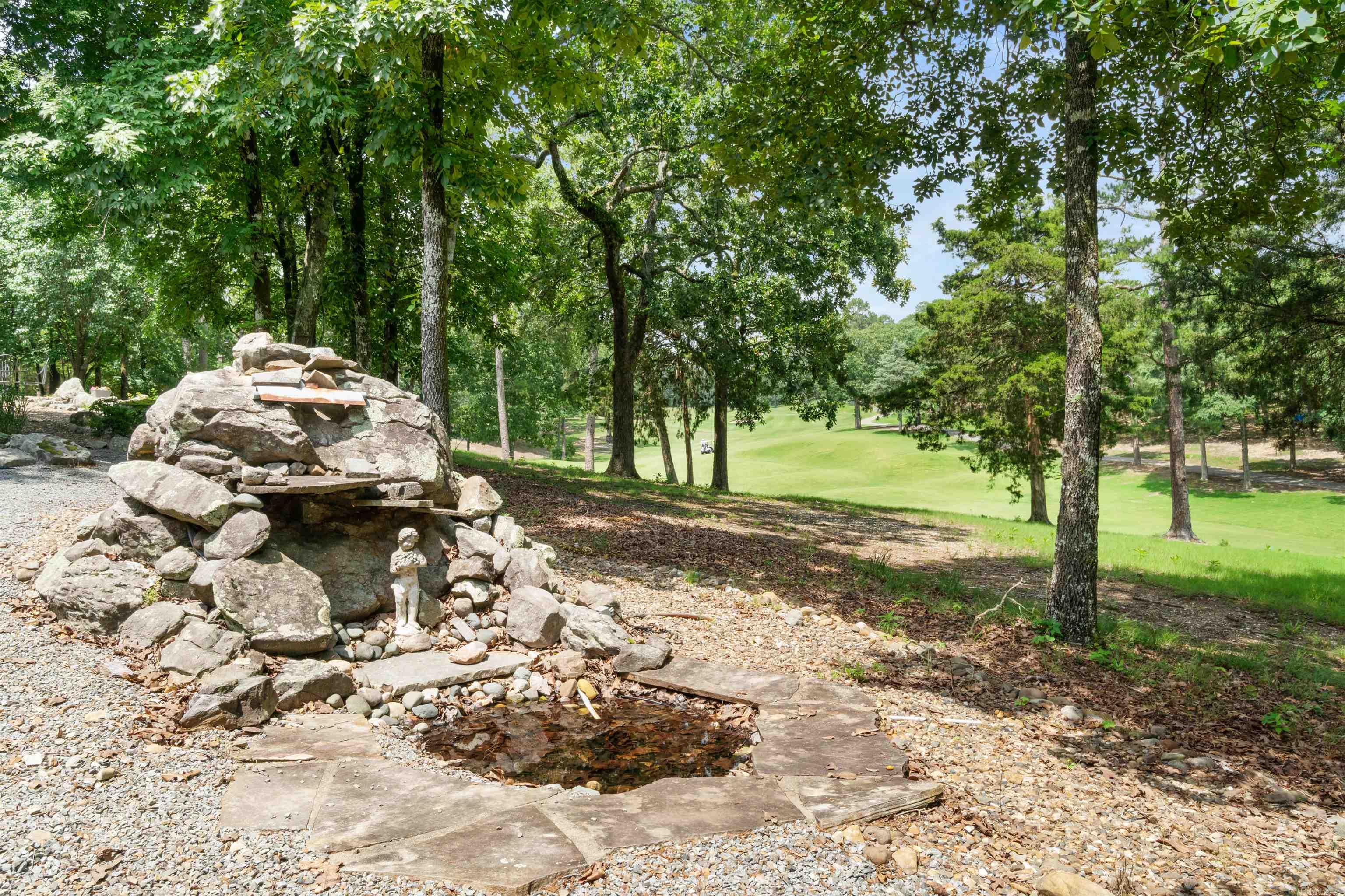 19  Brilliante Circle 19 Brilliante Circle Hot Springs Village, AR