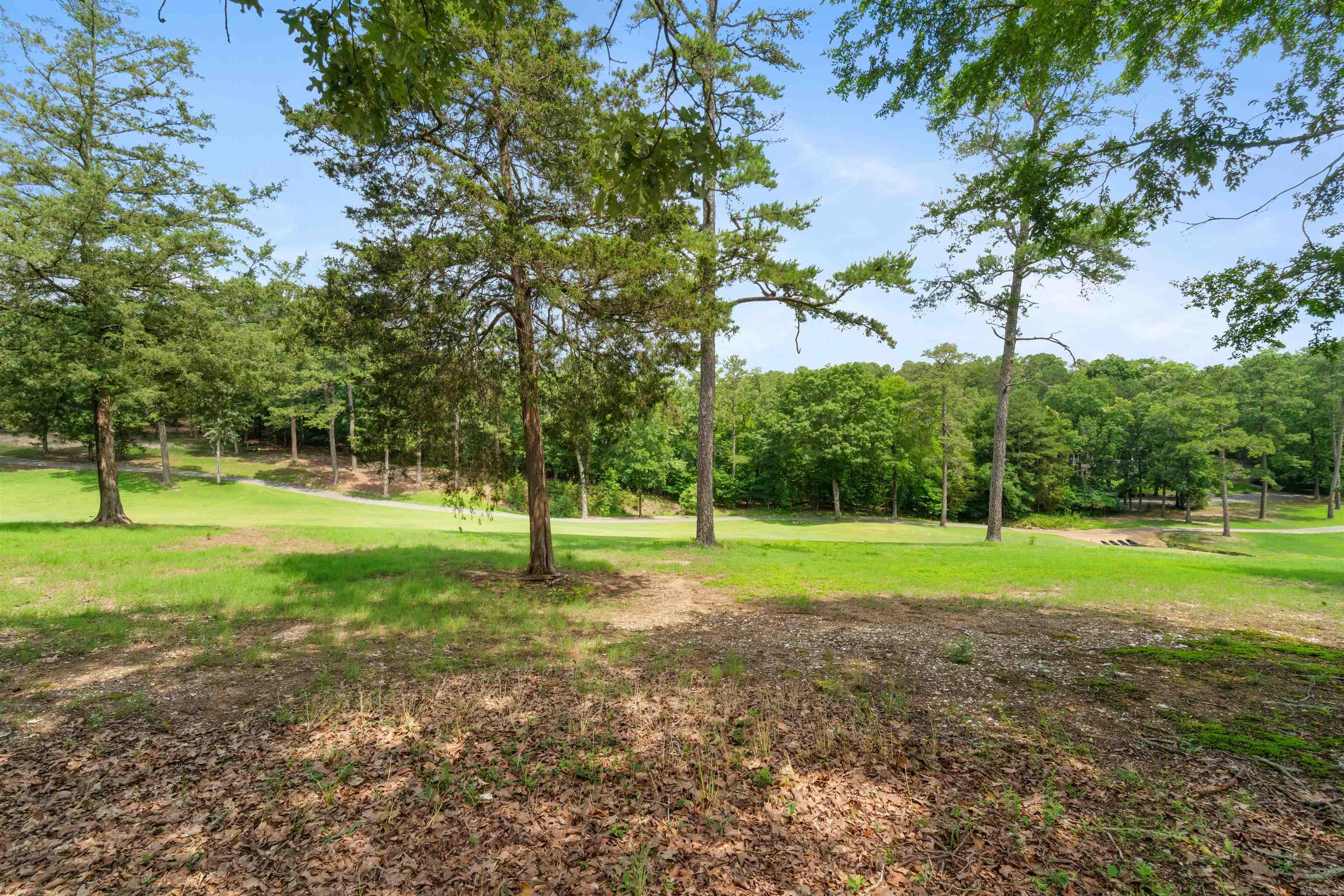 19  Brilliante Circle 19 Brilliante Circle Hot Springs Village, AR