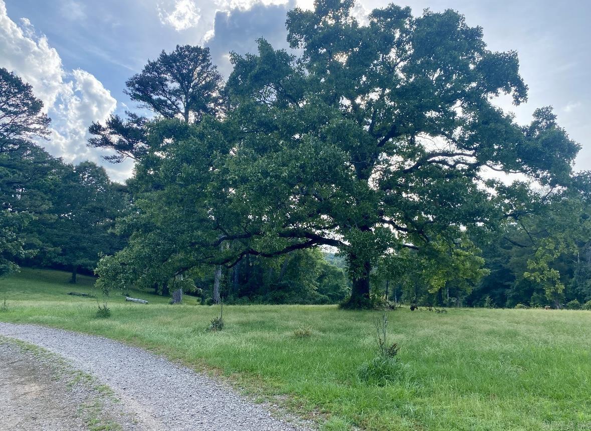 2403  County Road 3290  Clarksville, AR