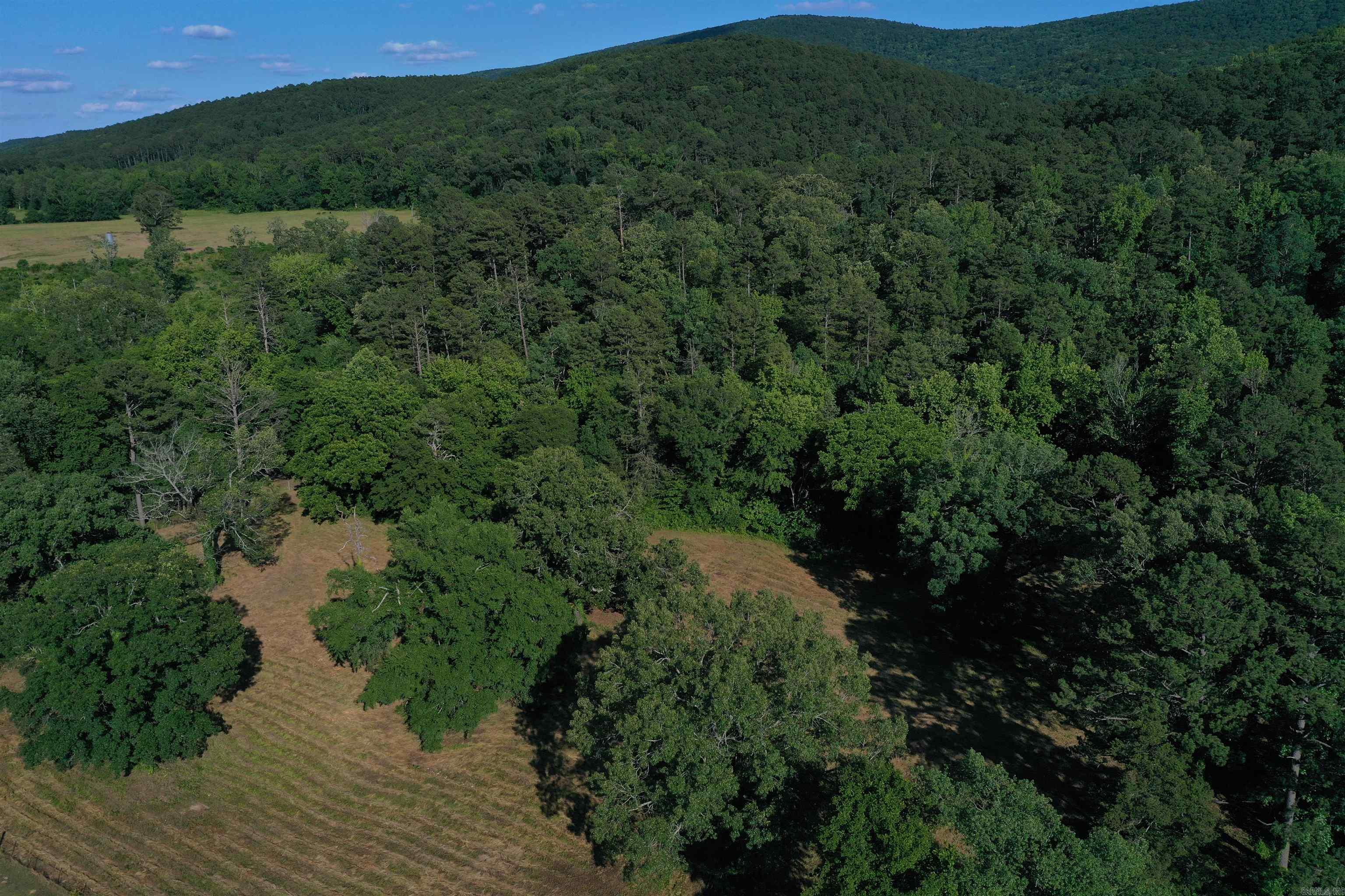 26723  Highway 80  Danville, AR