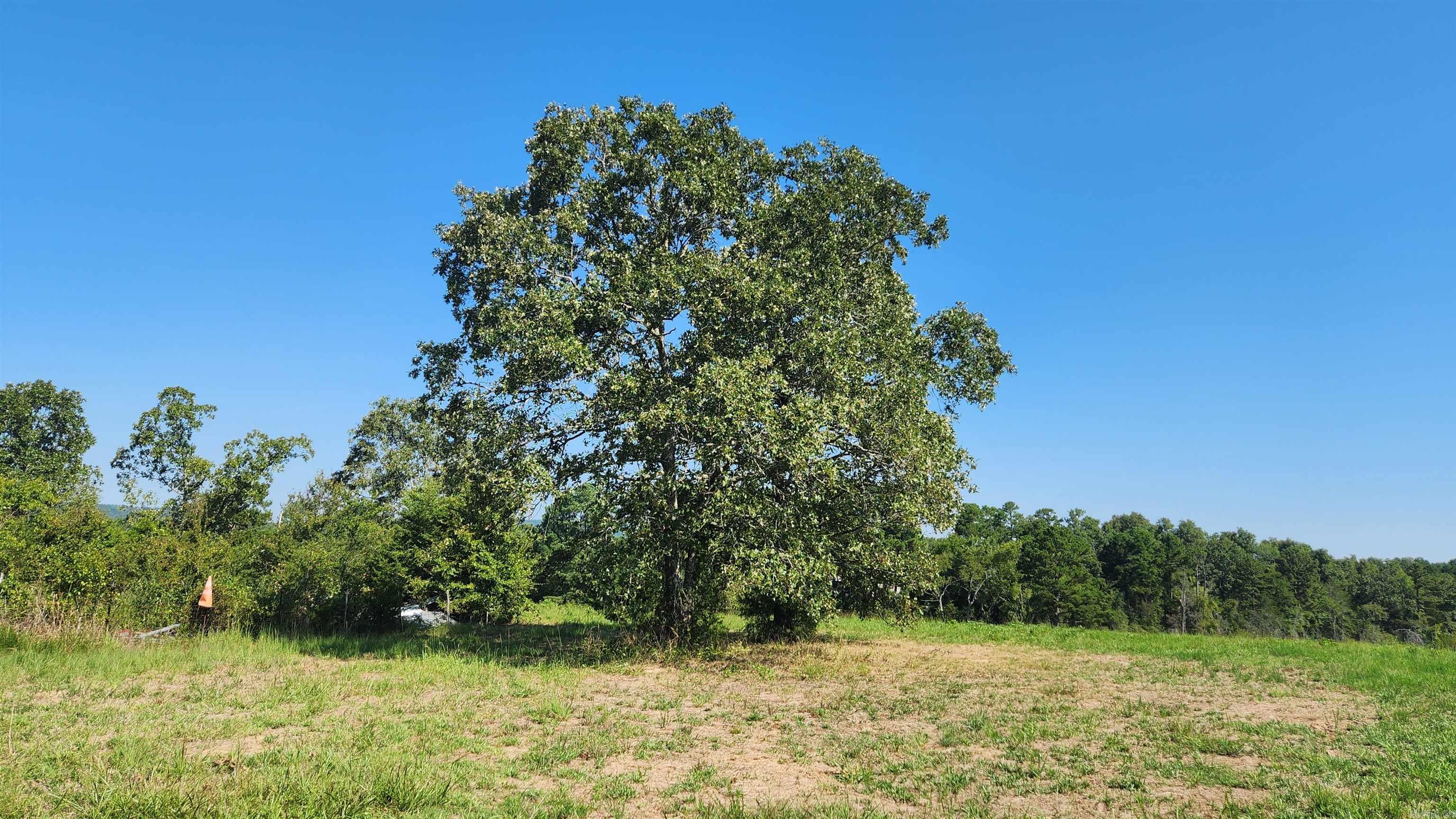 TBD  Highway 298 E  Story, AR
