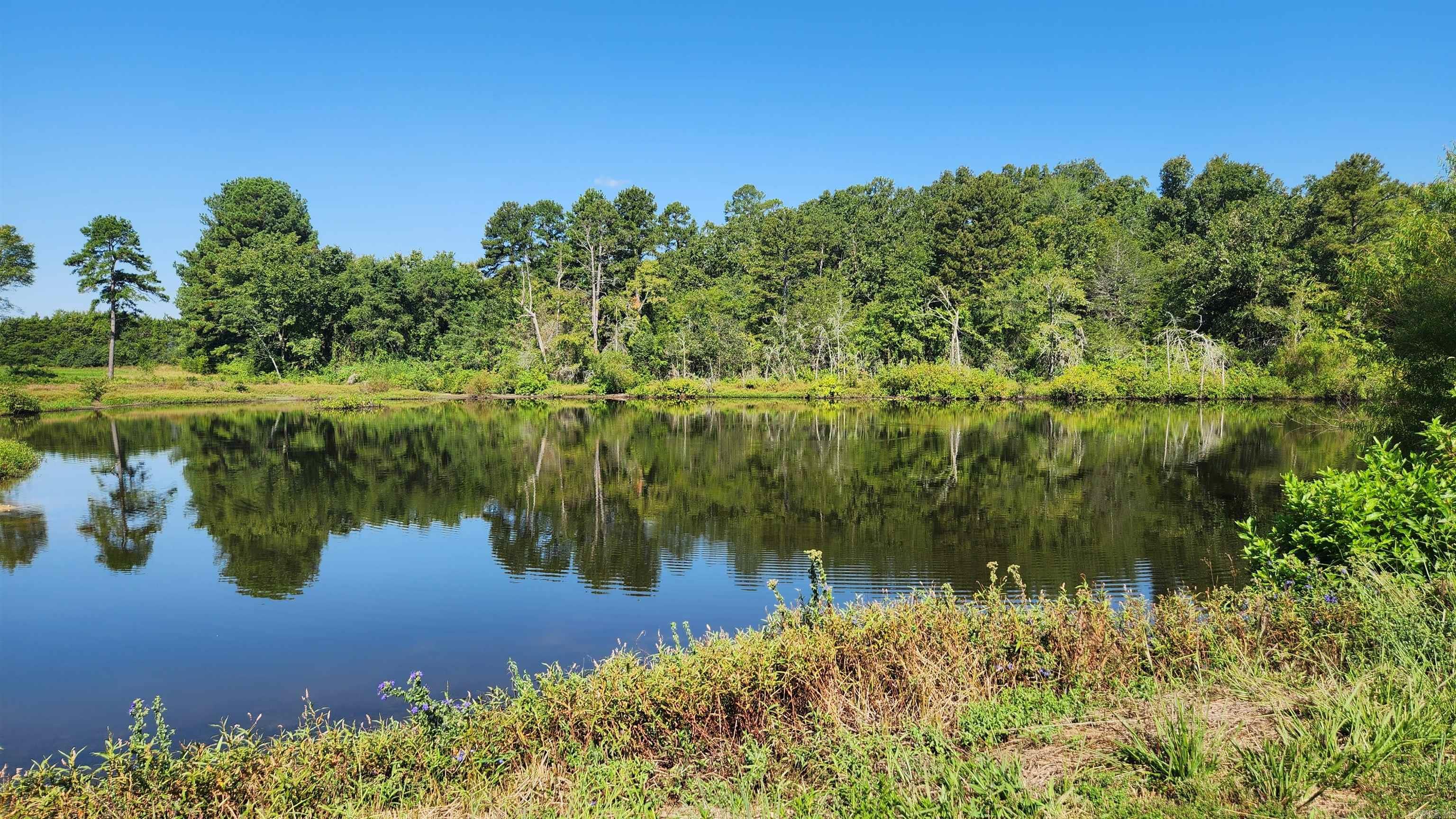 TBD  Highway 298 E  Story, AR