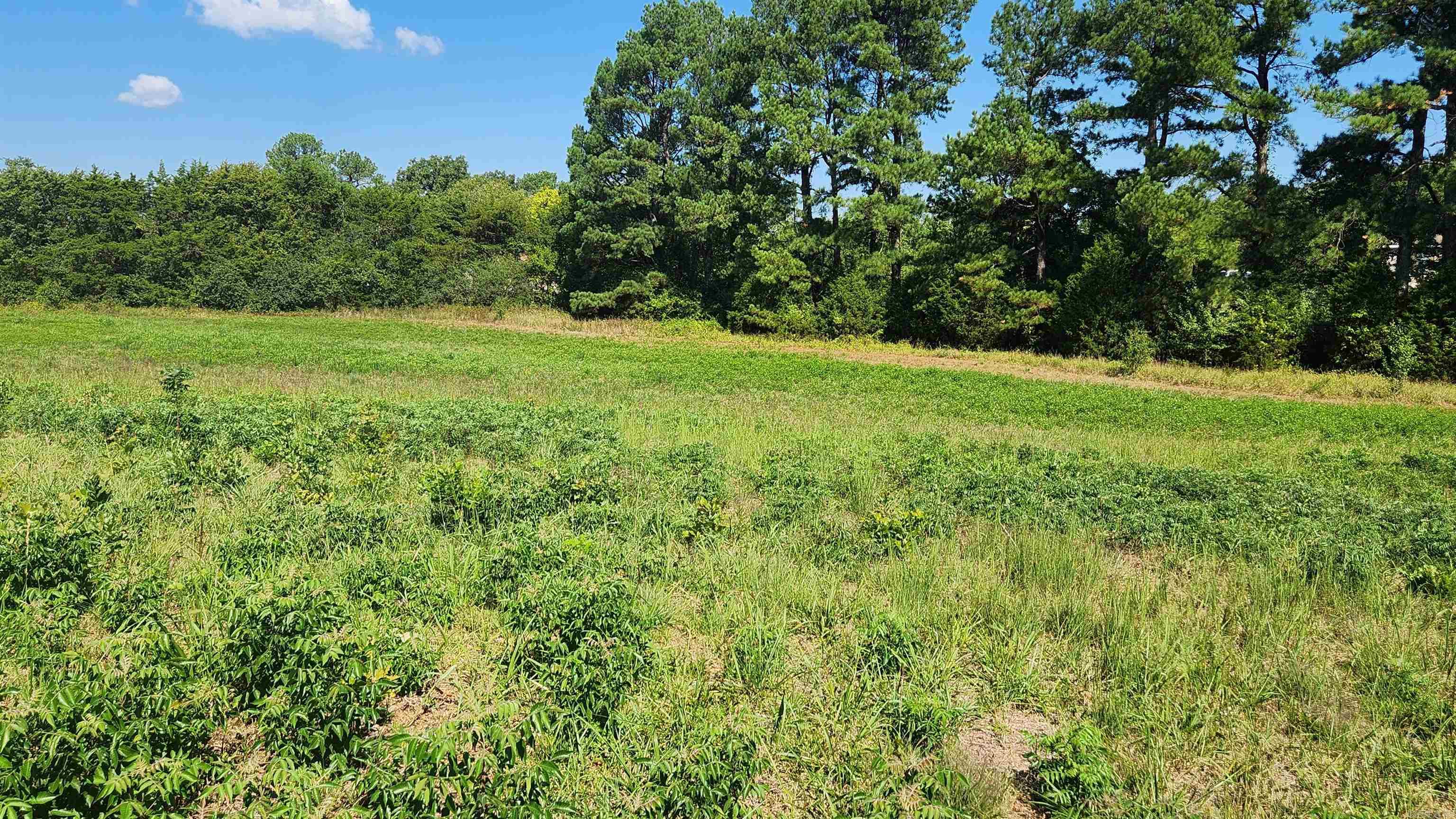 TBD  Highway 298 E  Story, AR