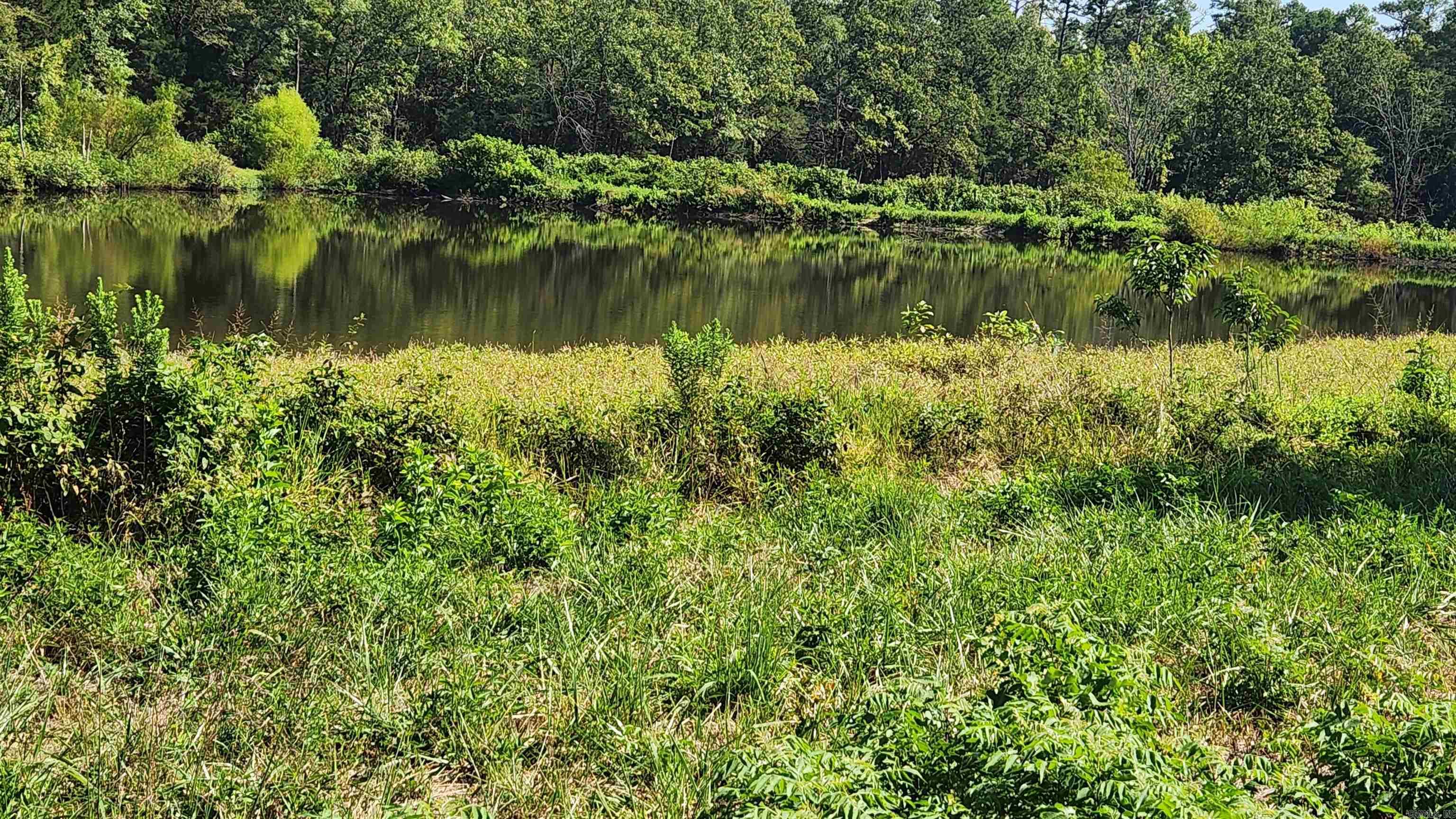 TBD  Highway 298 E  Story, AR