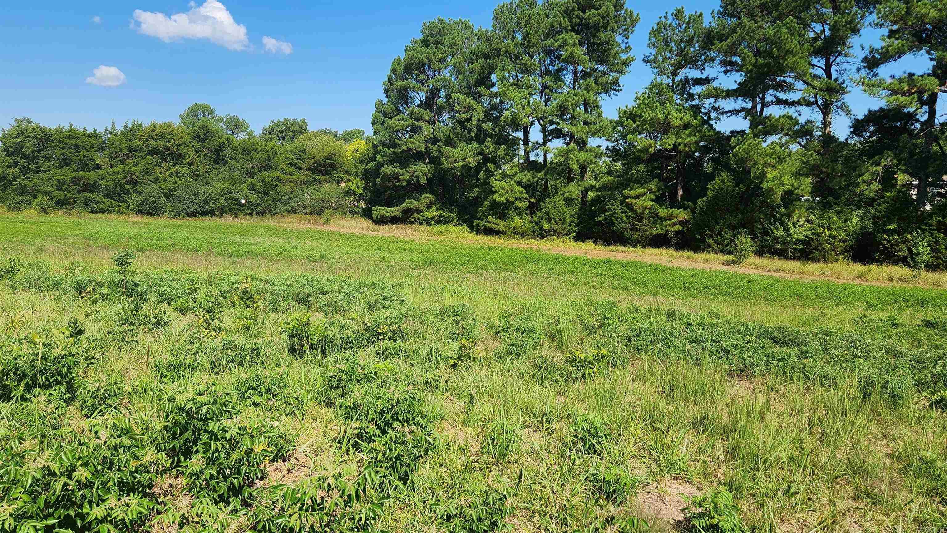 TBD  Highway 298 E  Story, AR