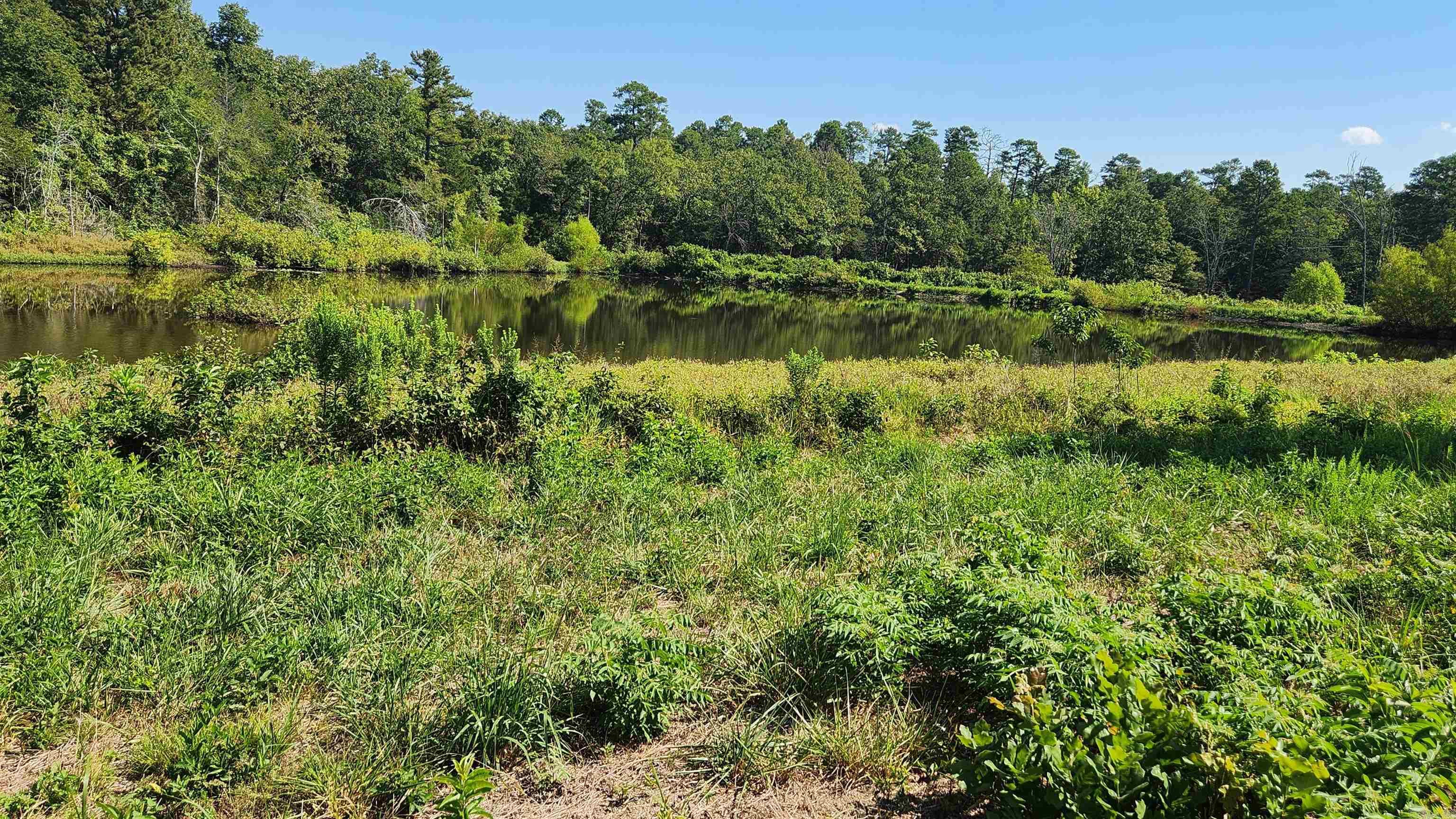 TBD  Highway 298 E  Story, AR
