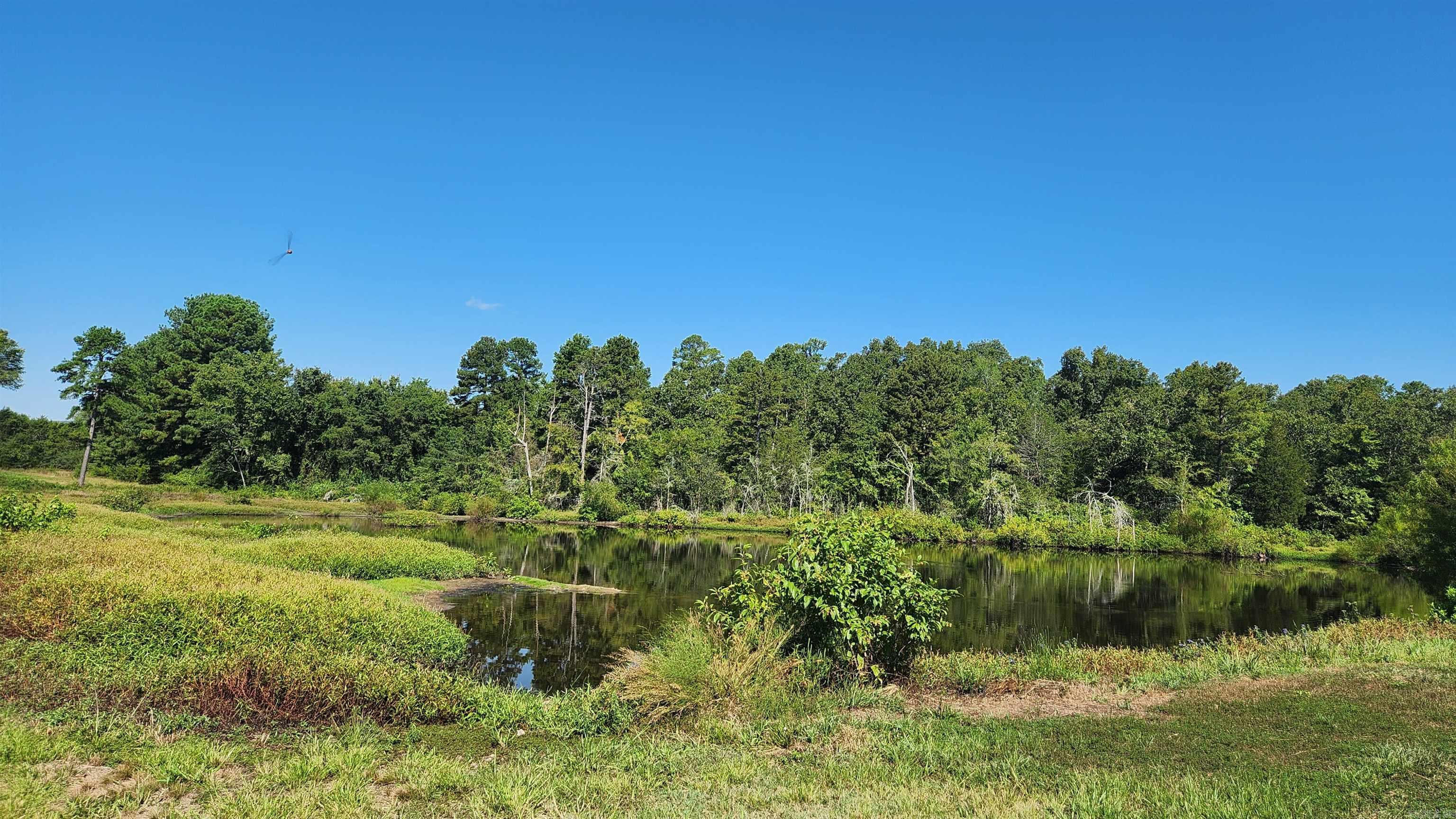 TBD  Highway 298 E  Story, AR
