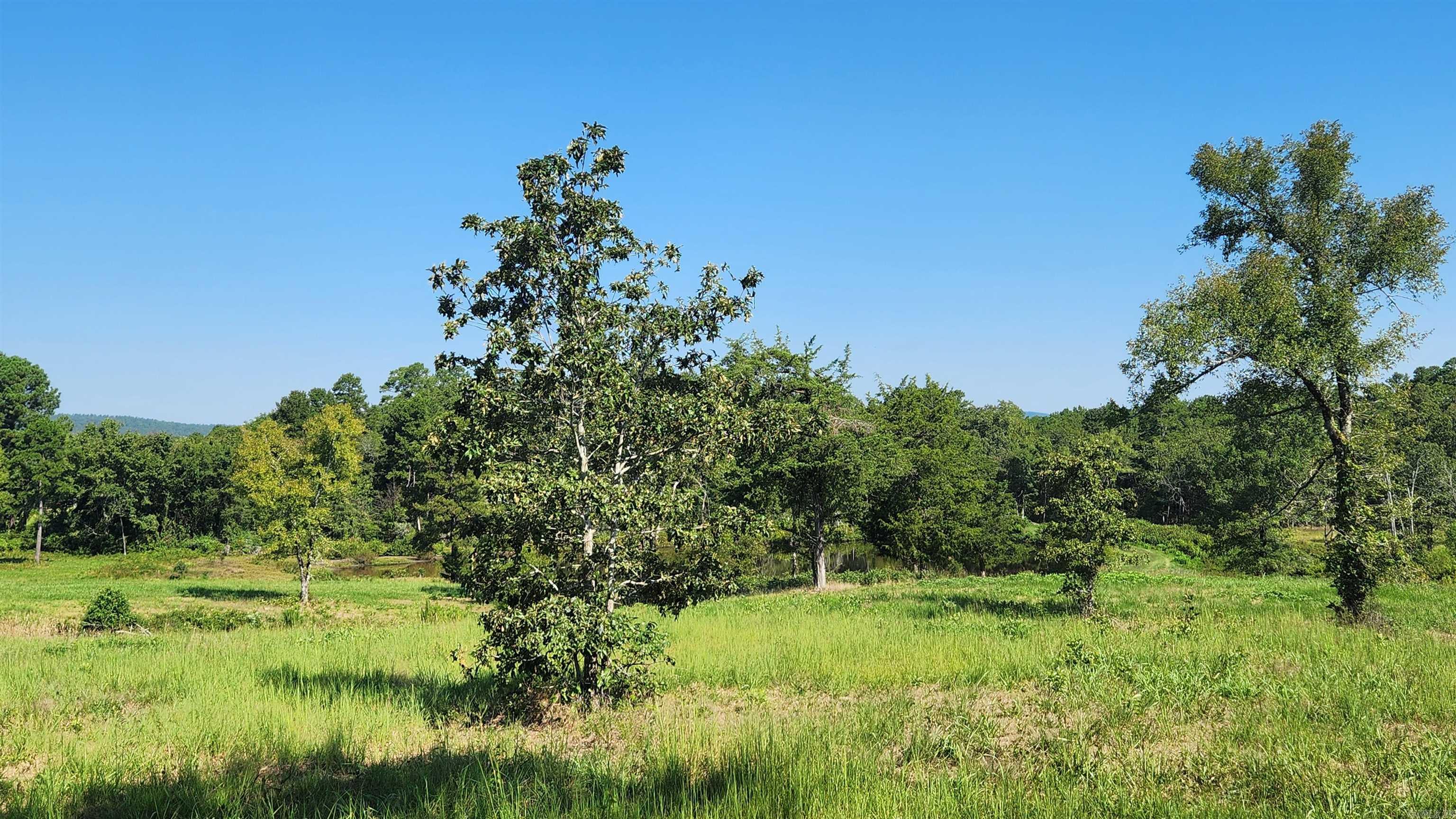 TBD  Highway 298 E  Story, AR