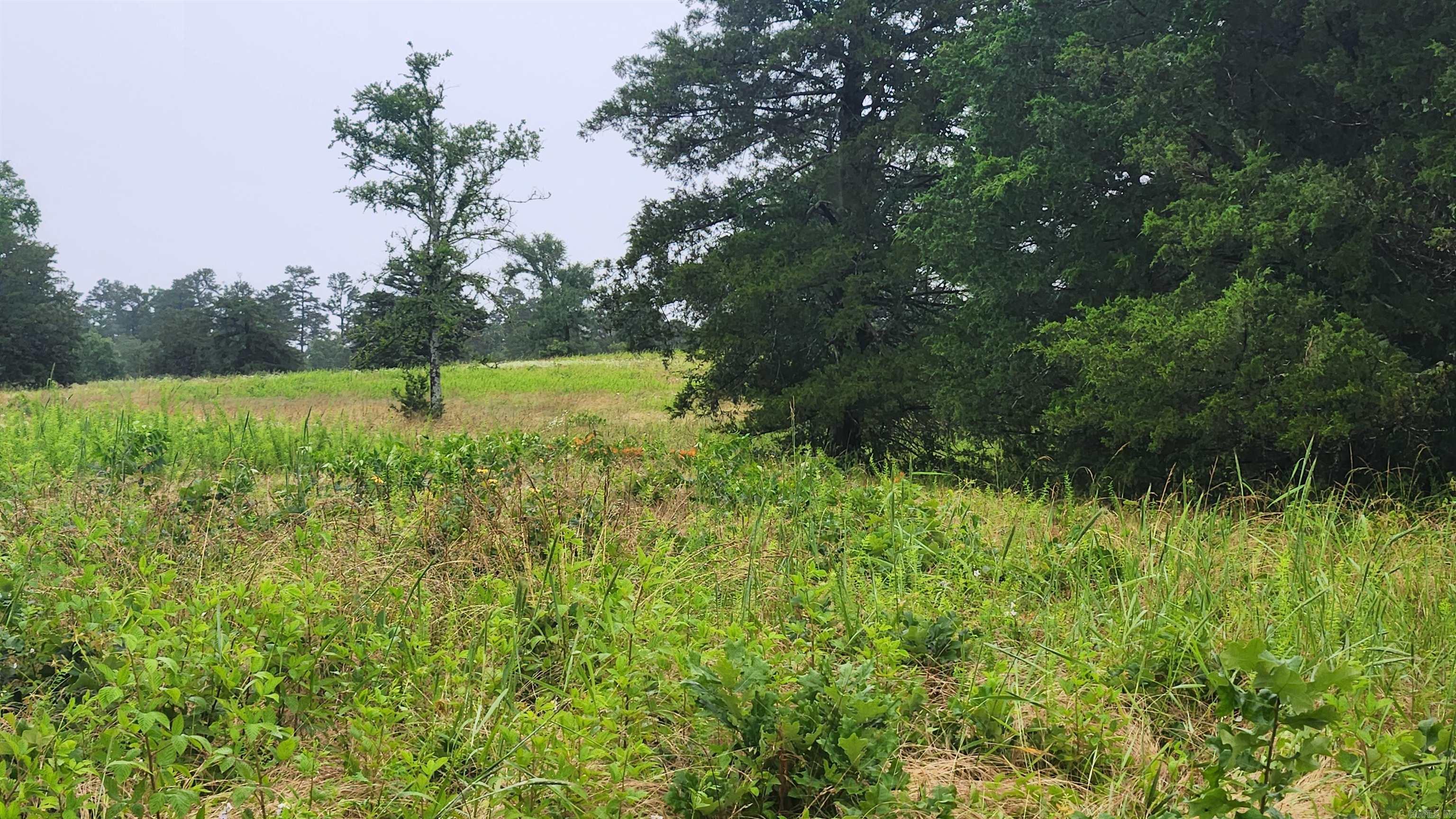 TBD  Highway 298 E  Story, AR