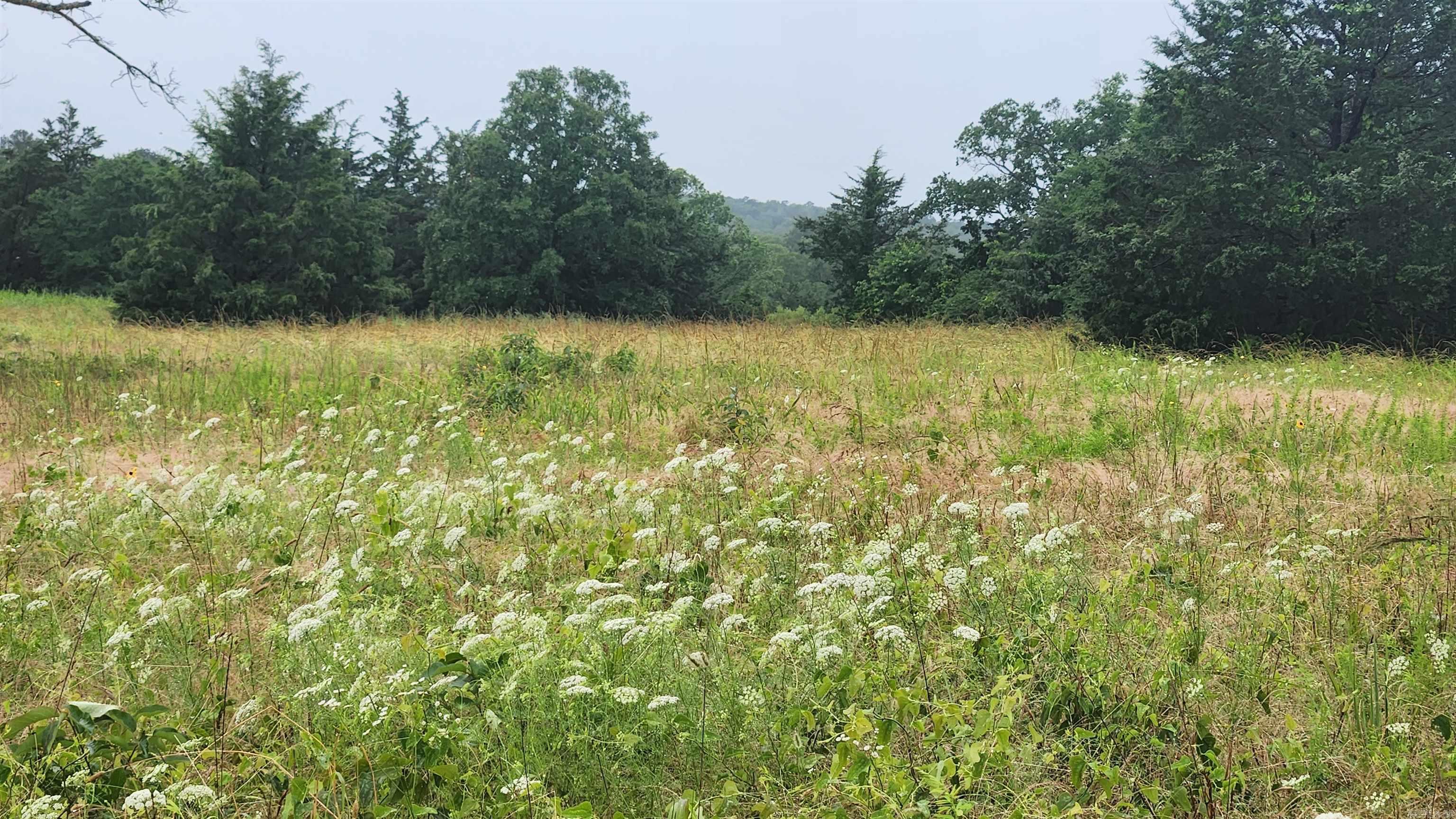 TBD  Highway 298 E  Story, AR