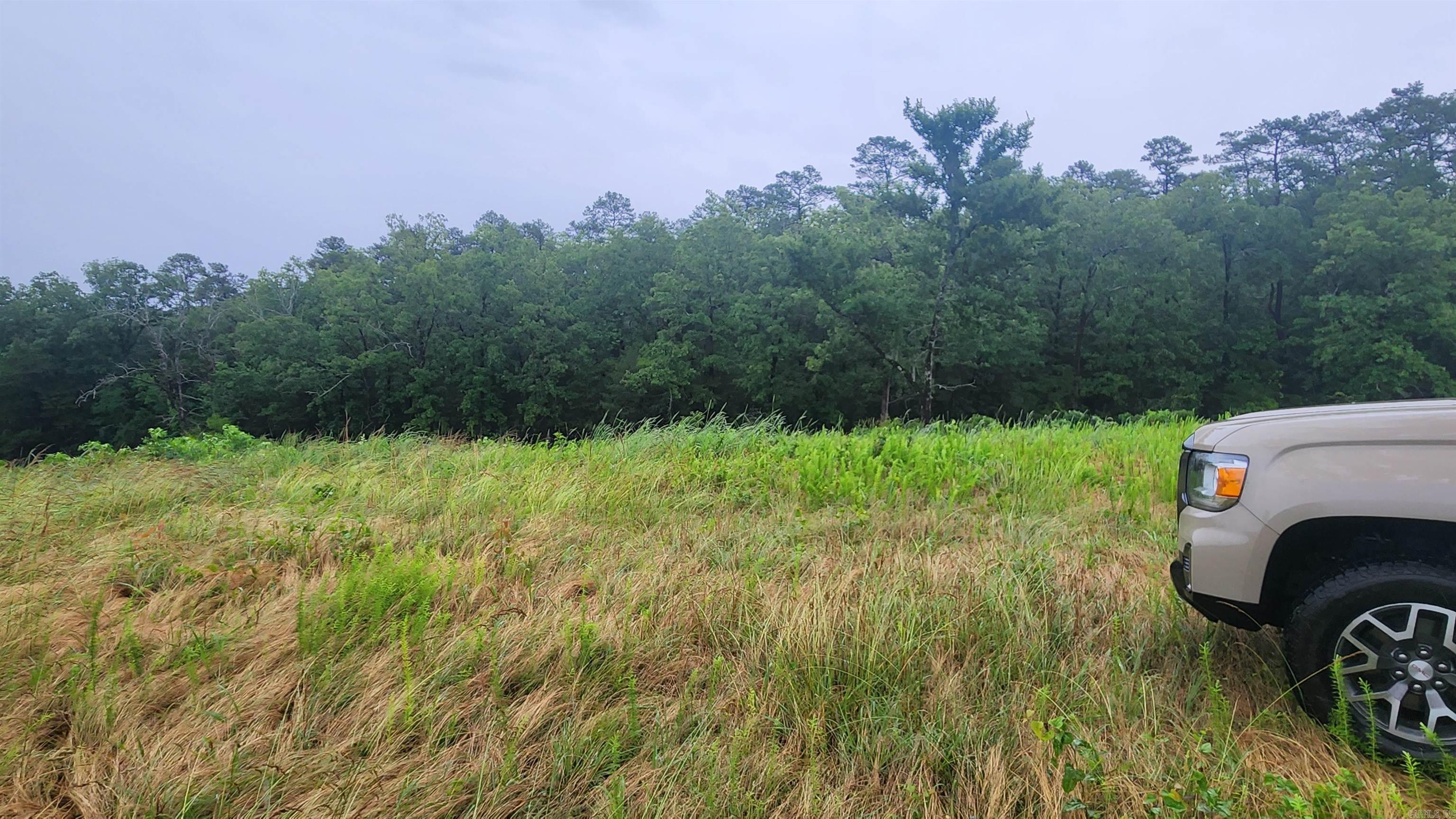TBD  Highway 298 E  Story, AR