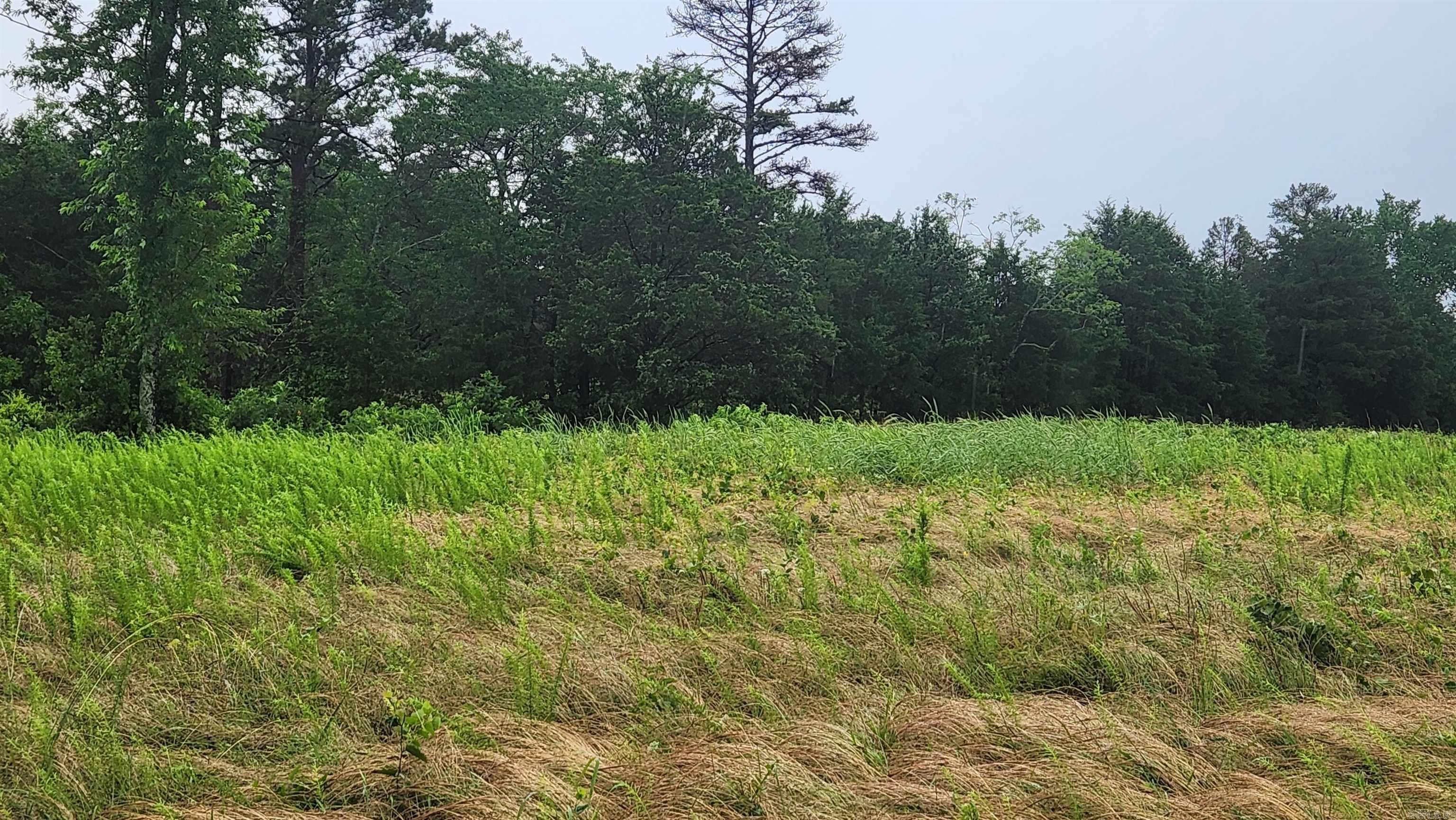 TBD  Highway 298 E  Story, AR
