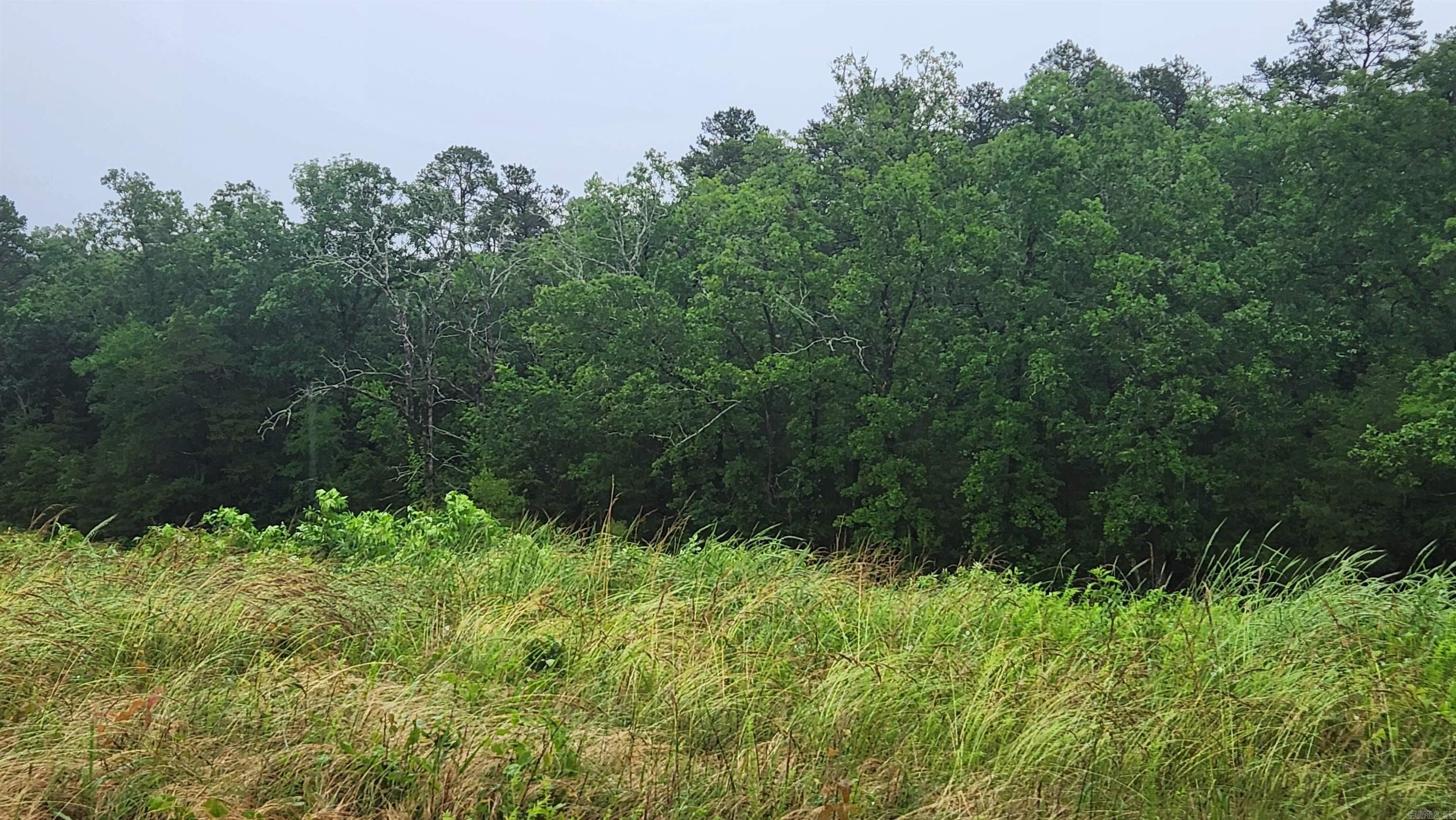 TBD  Highway 298 E  Story, AR