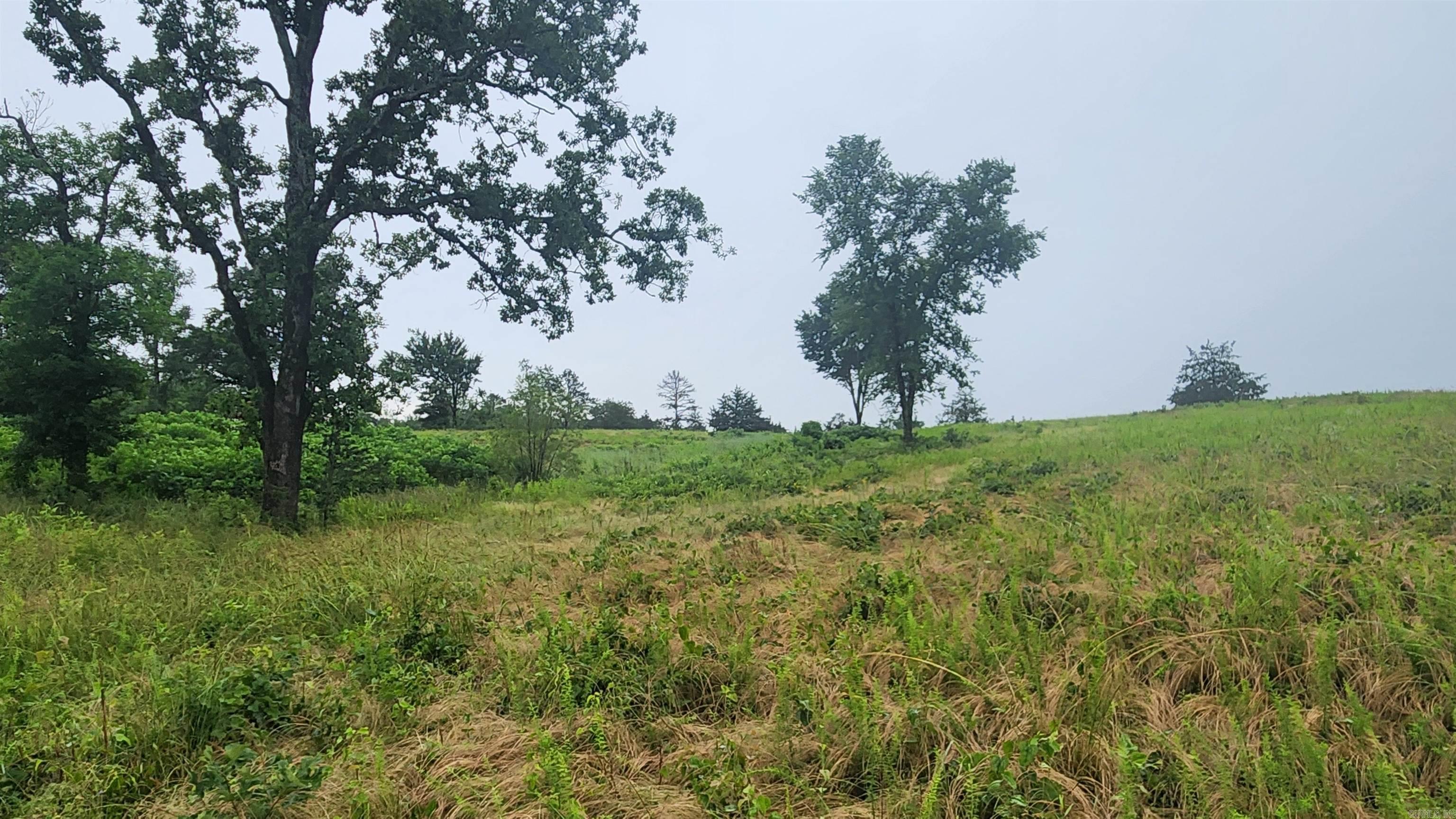 TBD  Highway 298 E  Story, AR