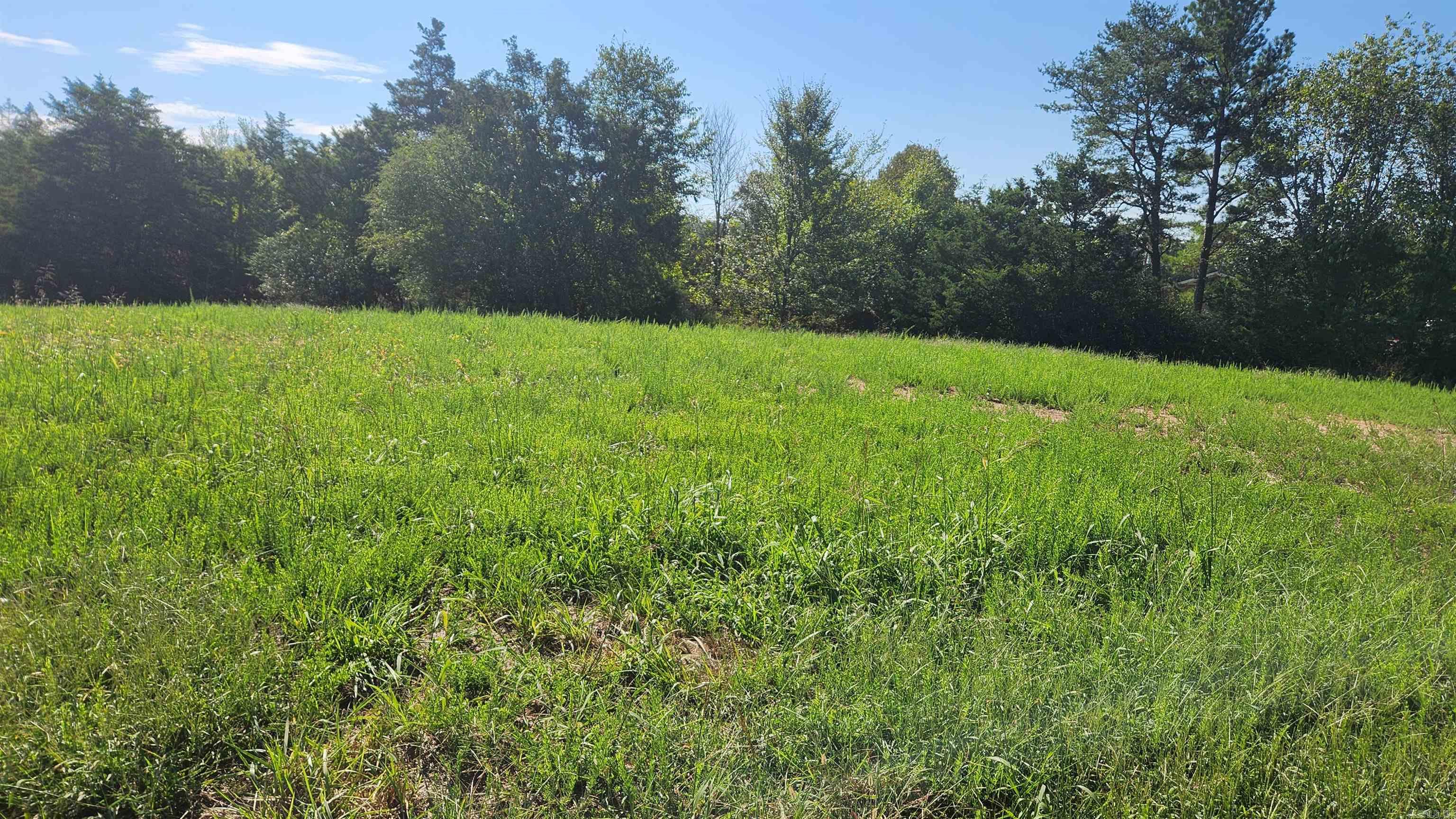 TBD  Highway 298 E  Story, AR