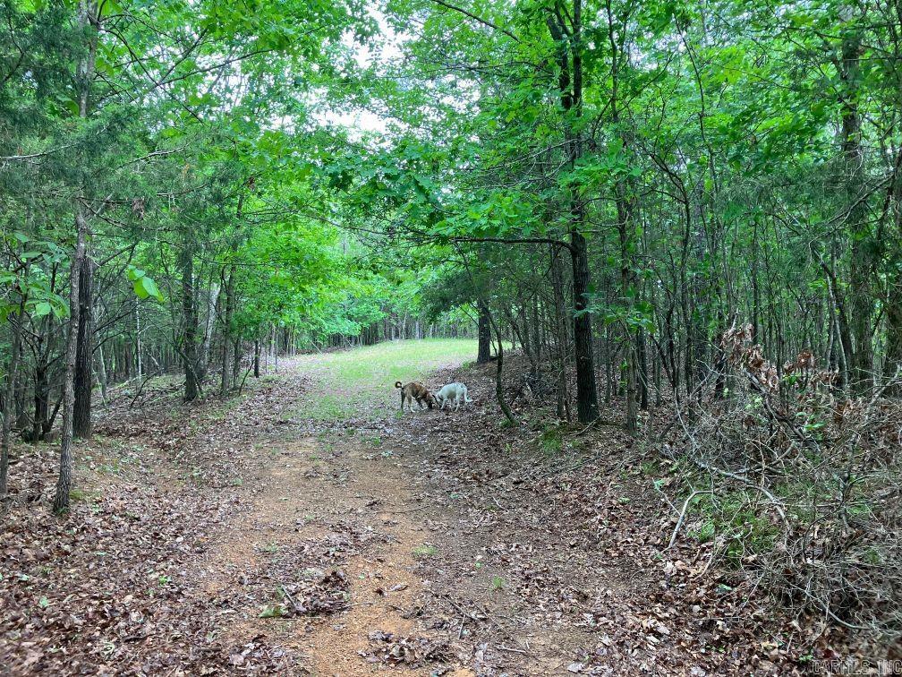 TBD  Thompson Creek Lane  Mena, AR