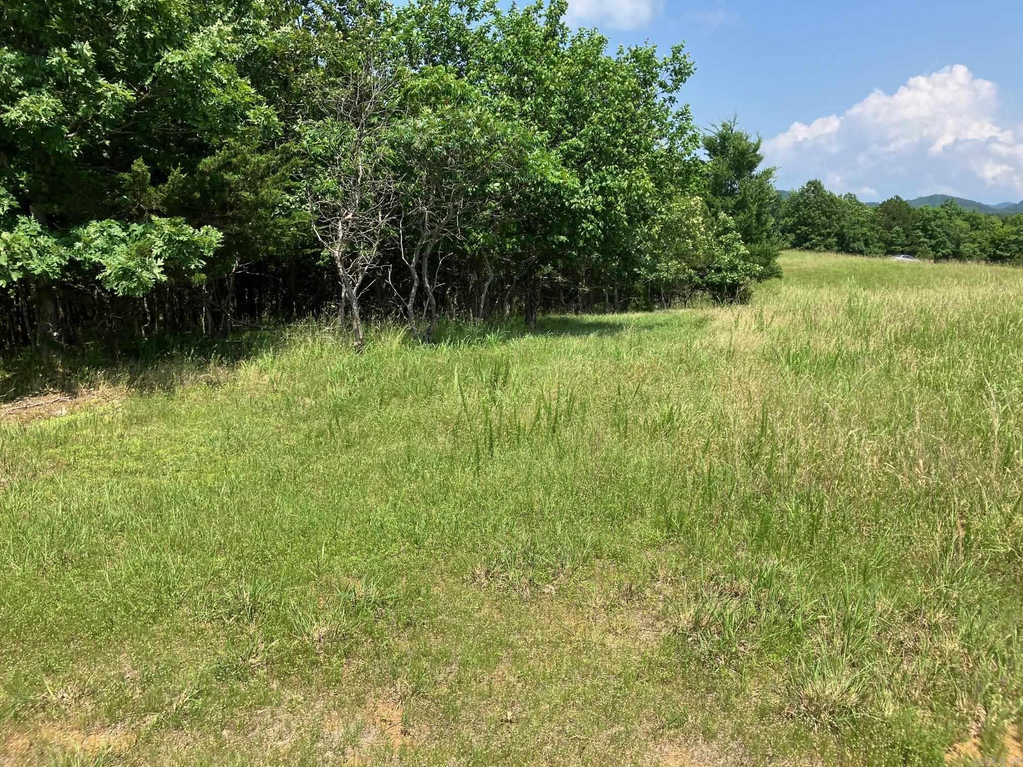 TBD  Thompson Creek Lane  Mena, AR