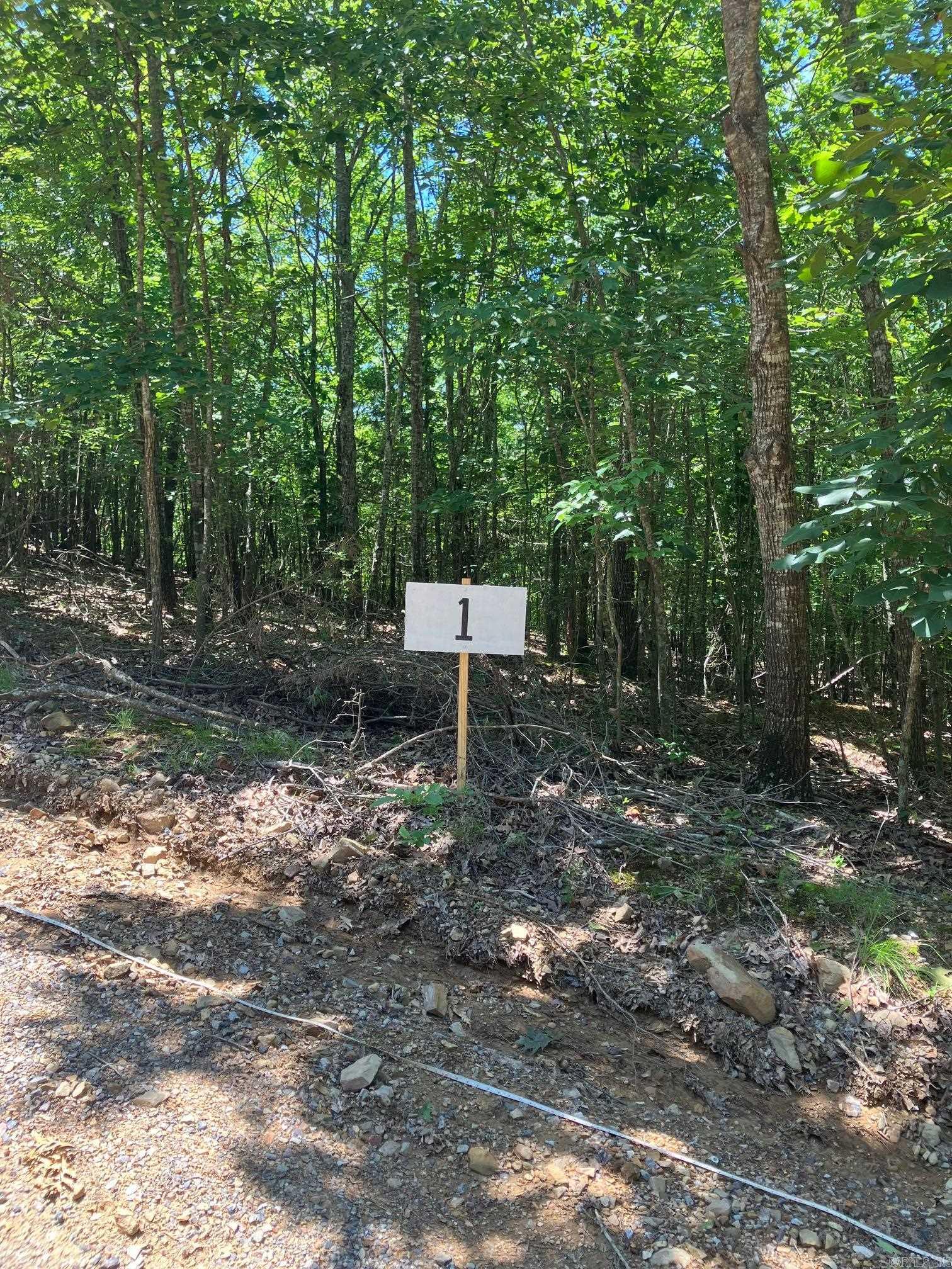 TBD Tract 1  Thompson Creek Lane  Mena, AR