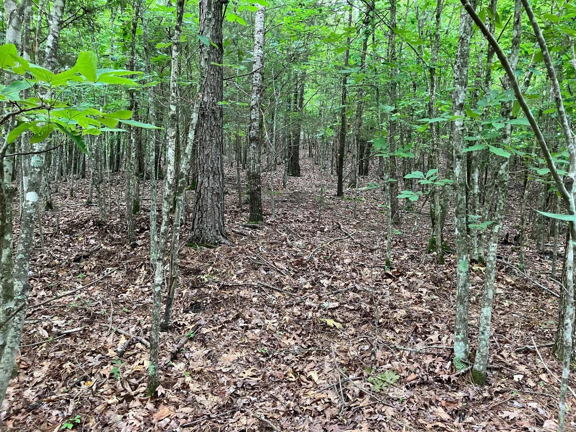 TBD  Thompson Creek Lane  Mena, AR