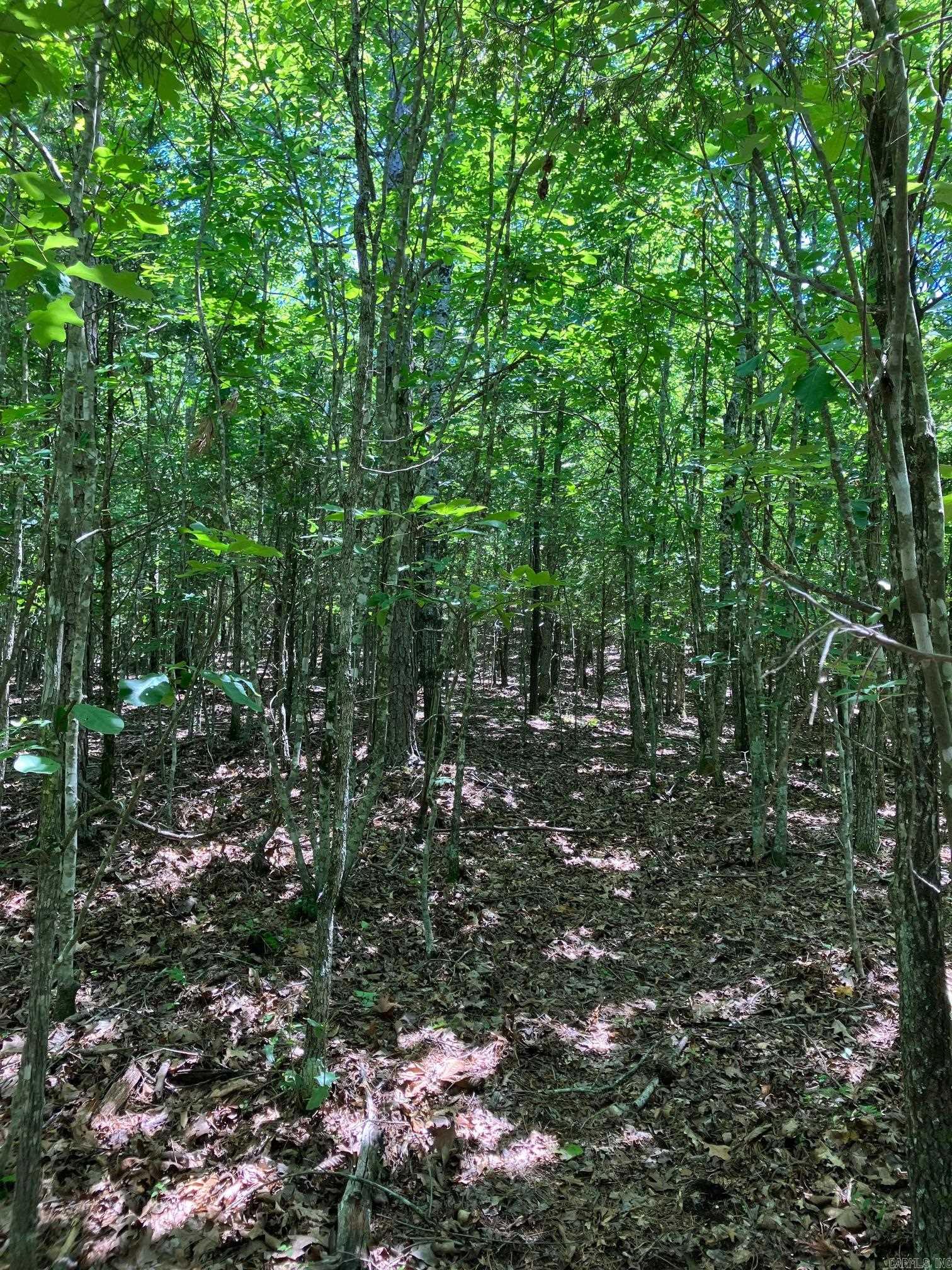TBD Tract 1  Thompson Creek Lane  Mena, AR