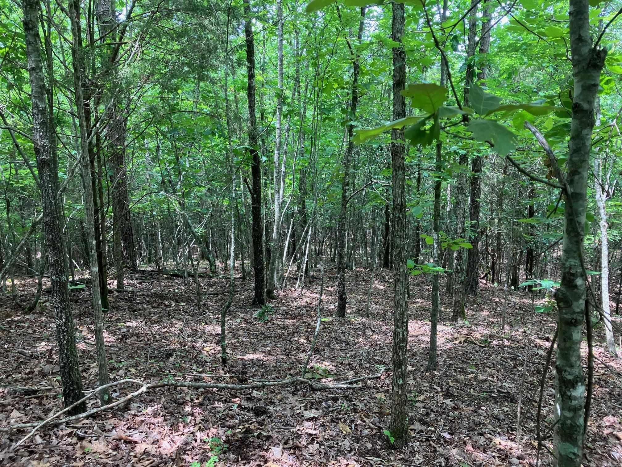 TBD  Thompson Creek Lane  Mena, AR