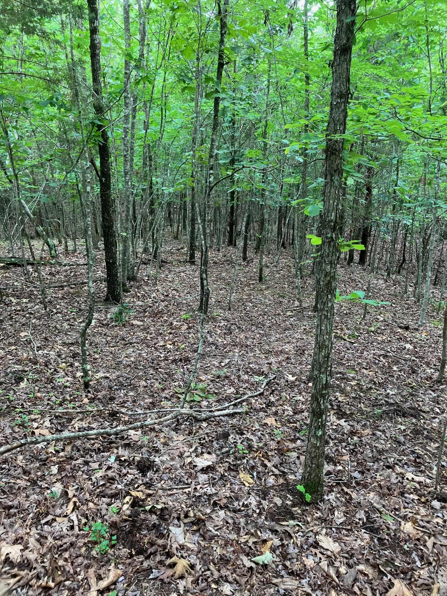 TBD  Thompson Creek Lane  Mena, AR