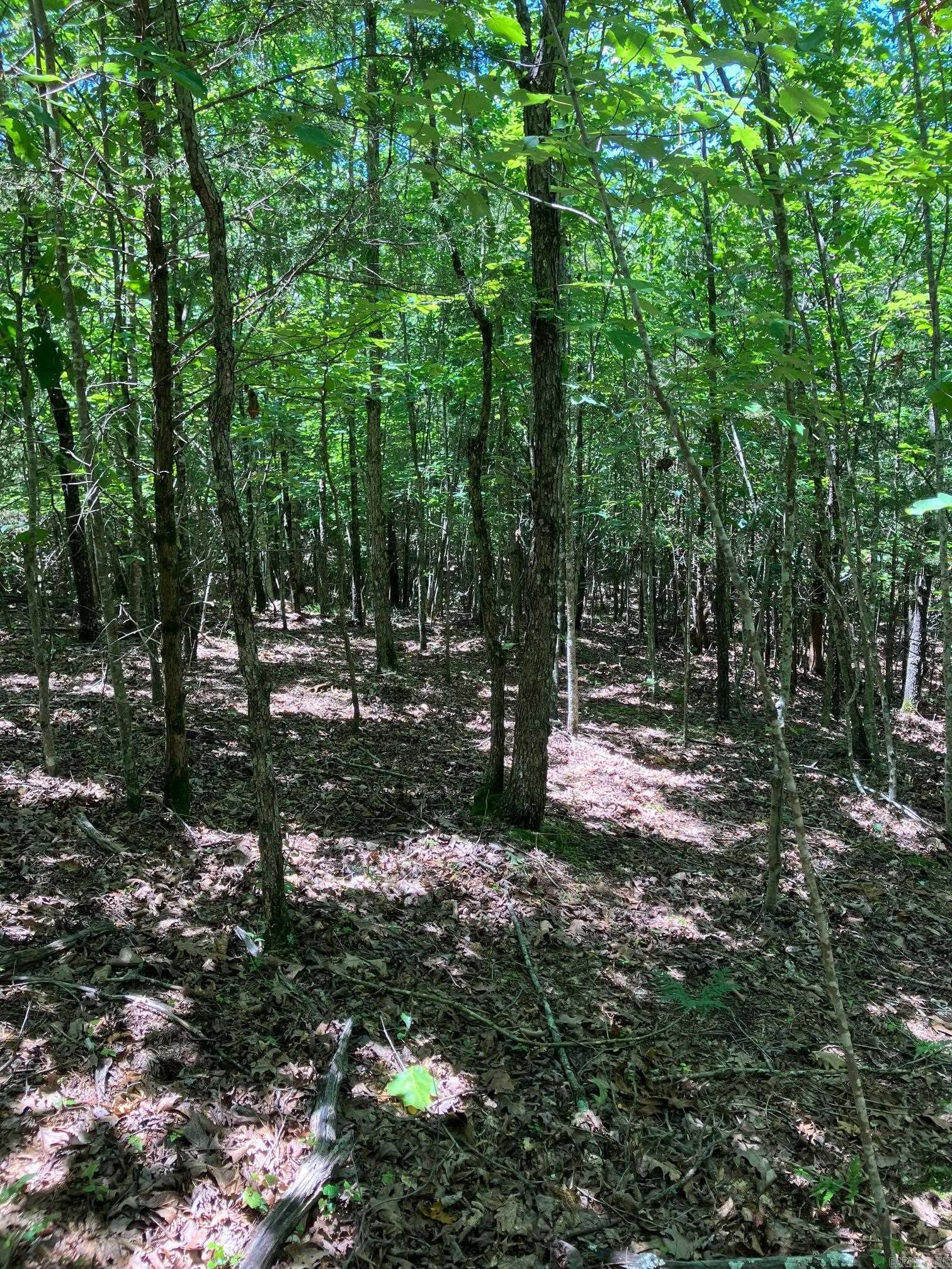 TBD Tract 1  Thompson Creek Lane  Mena, AR