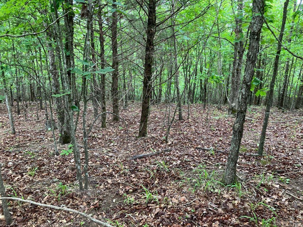TBD  Thompson Creek Lane  Mena, AR