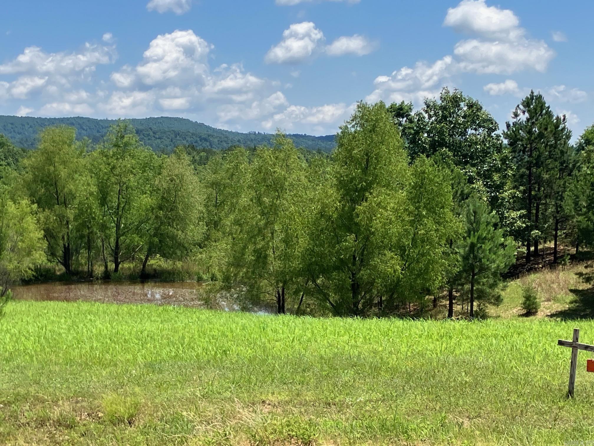 TBD Tract 2  Thompson Creek Lane  Mena, AR