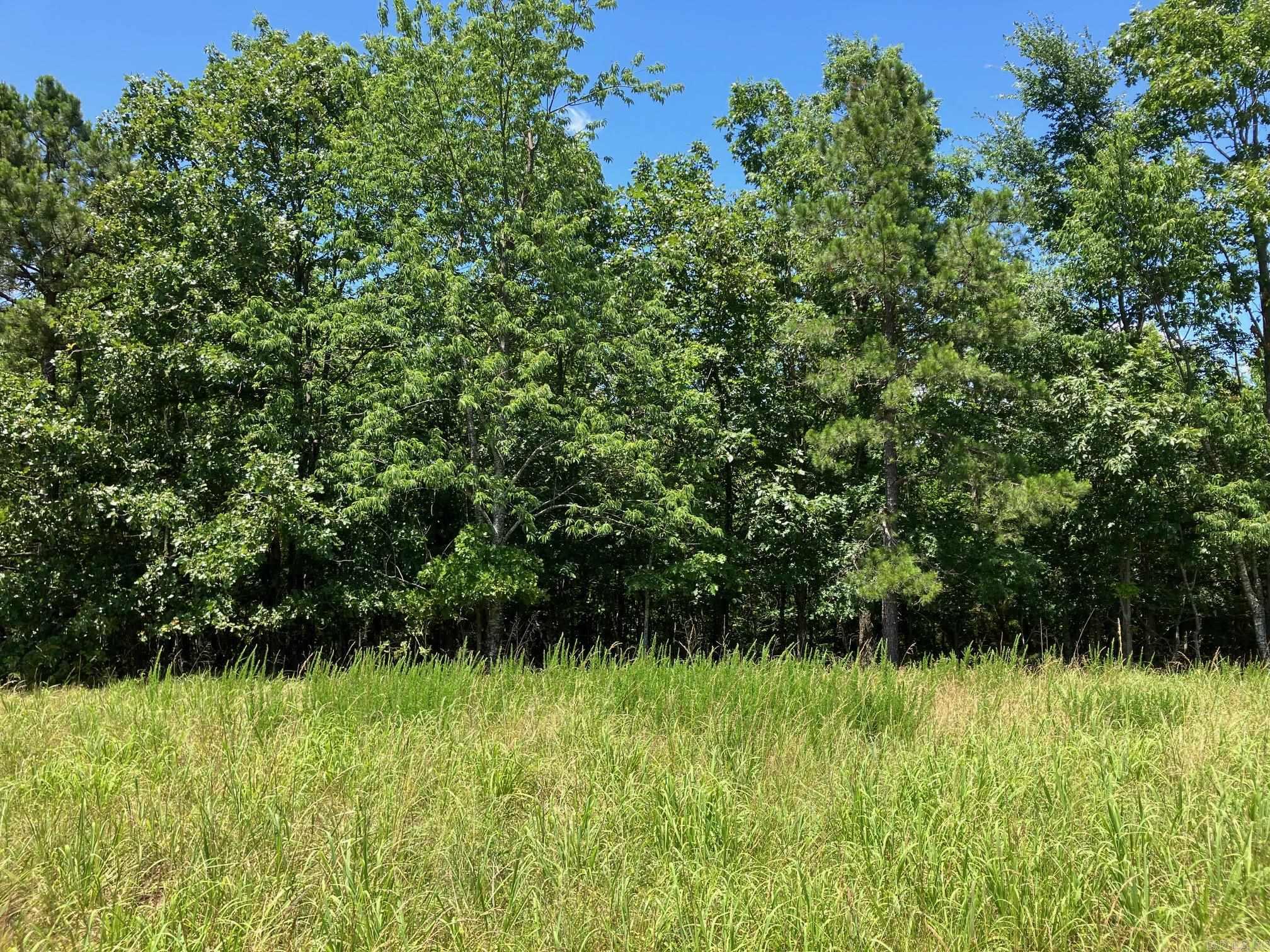 TBD Tract 2  Thompson Creek Lane  Mena, AR