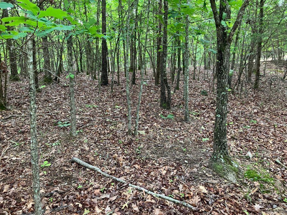 TBD  Thompson Creek Lane  Mena, AR