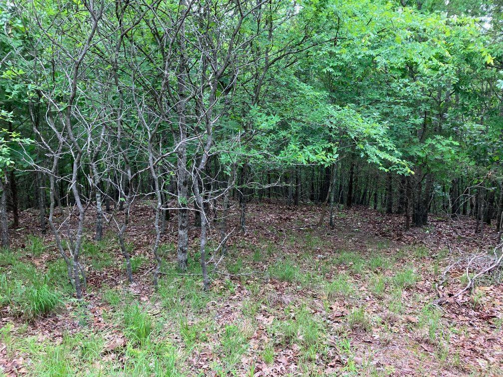 TBD  Thompson Creek Lane  Mena, AR