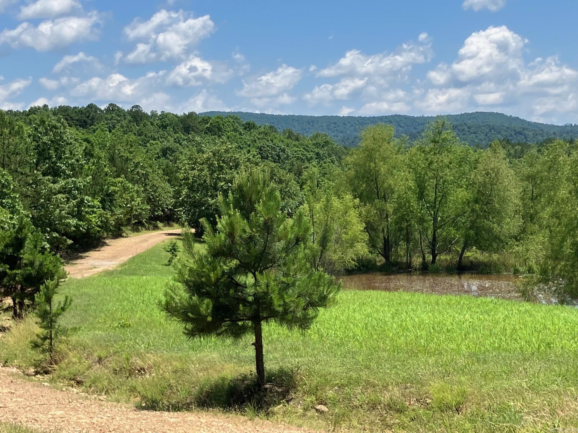 TBD Tract 2  Thompson Creek Lane  Mena, AR