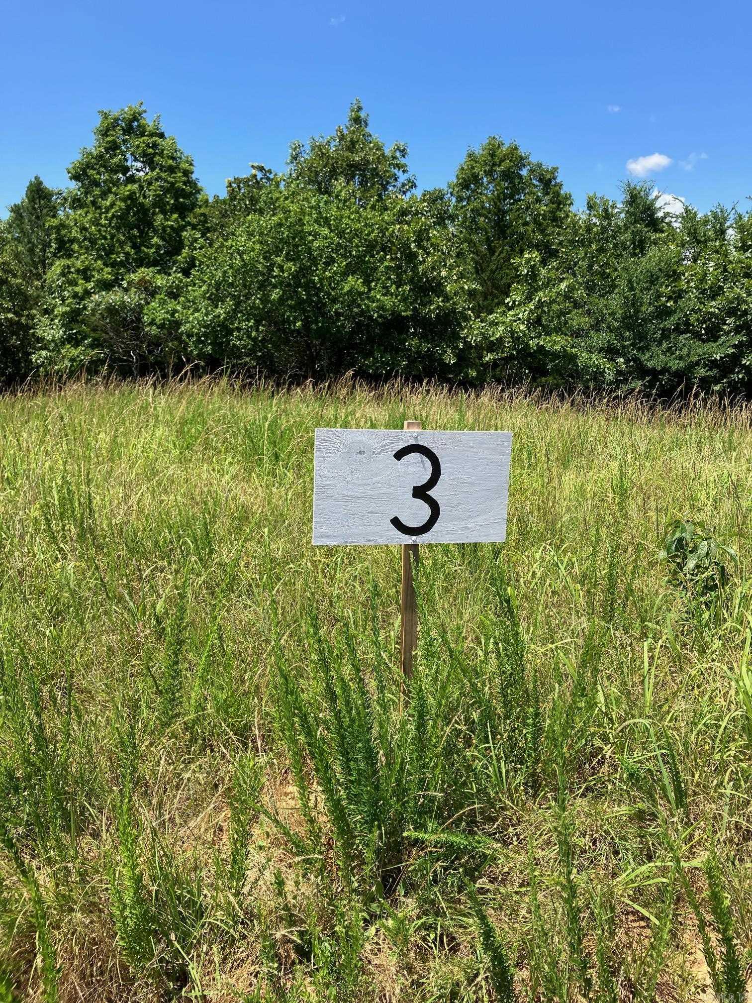 TBD Tract 3  Thompson Creek Lane  Mena, AR