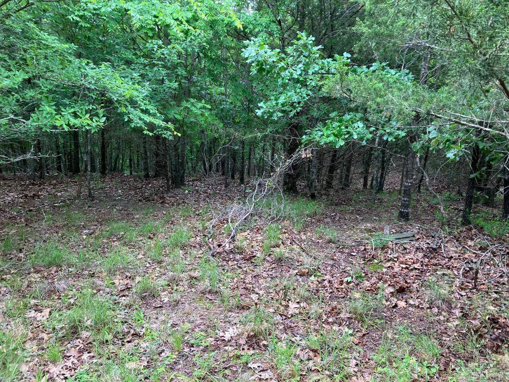 TBD  Thompson Creek Lane  Mena, AR
