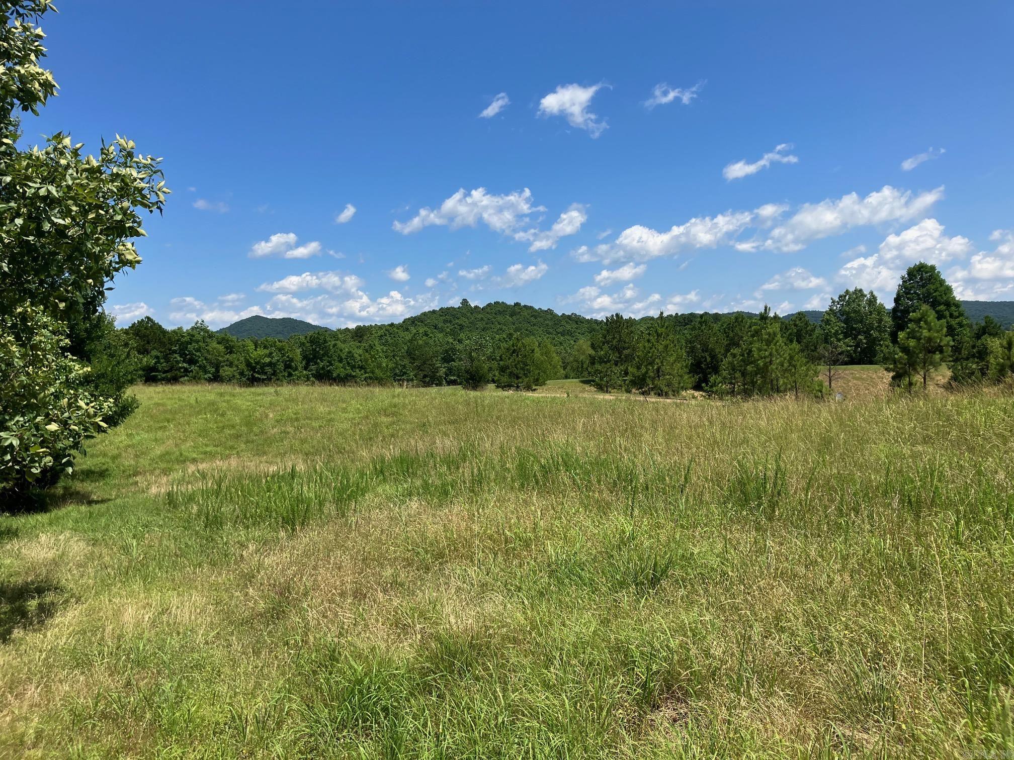 TBD Tract 3  Thompson Creek Lane  Mena, AR