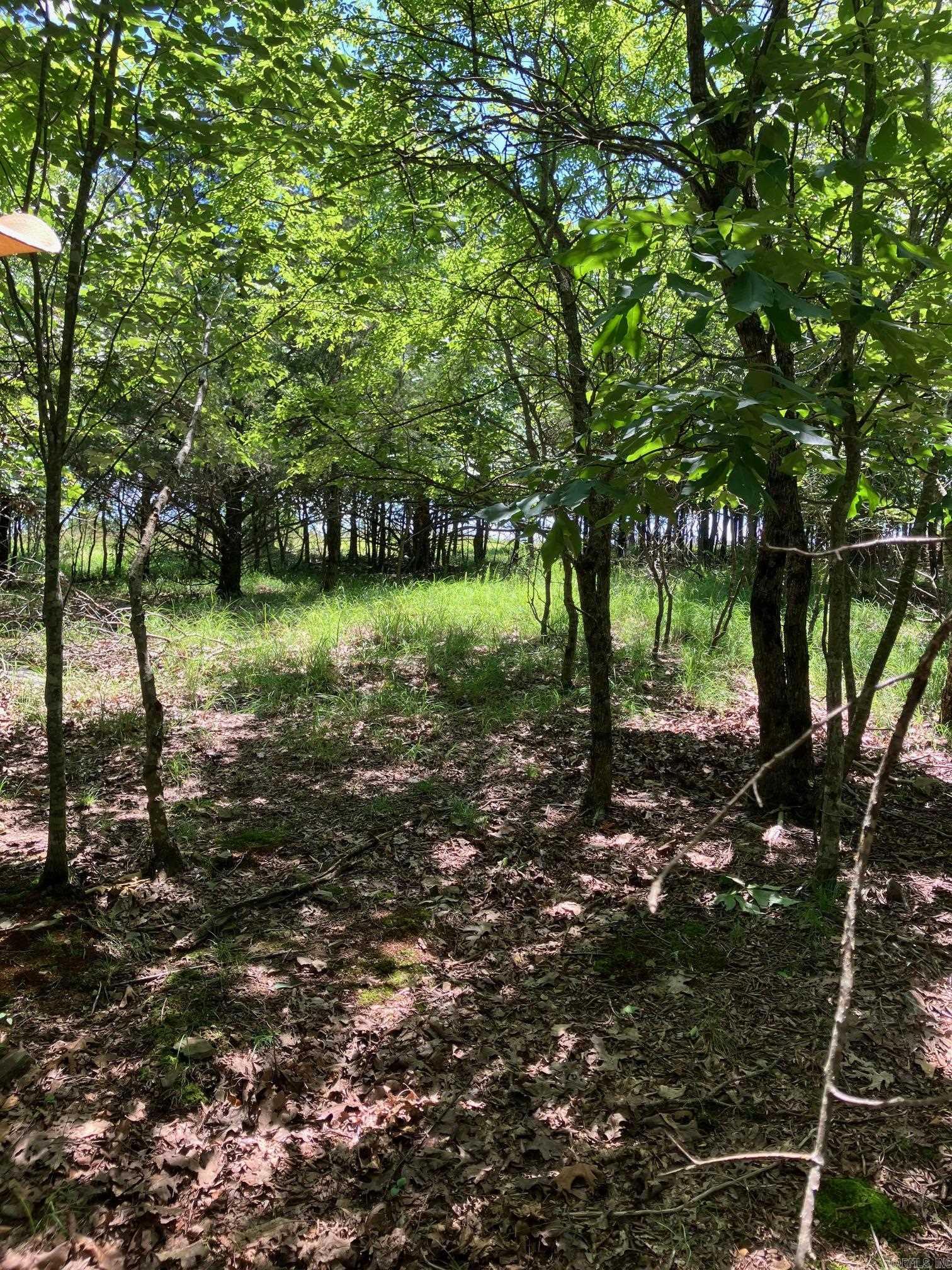 TBD Tract 3  Thompson Creek Lane  Mena, AR