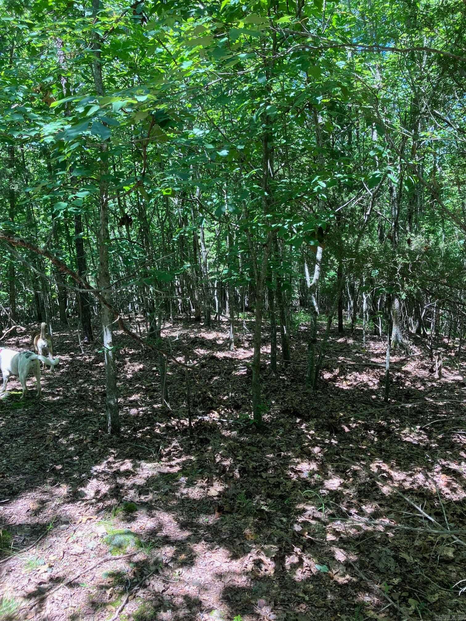 TBD Tract 3  Thompson Creek Lane  Mena, AR