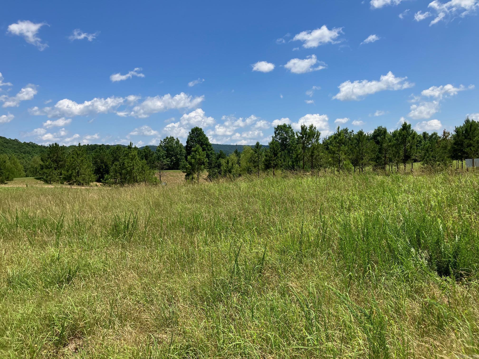 TBD Tract 3  Thompson Creek Lane  Mena, AR