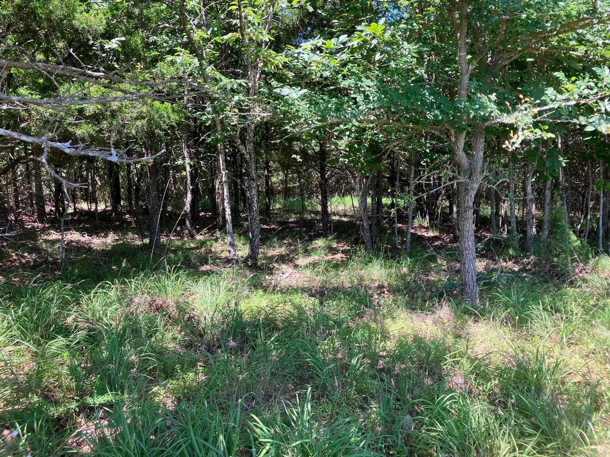 TBD Tract 3  Thompson Creek Lane  Mena, AR