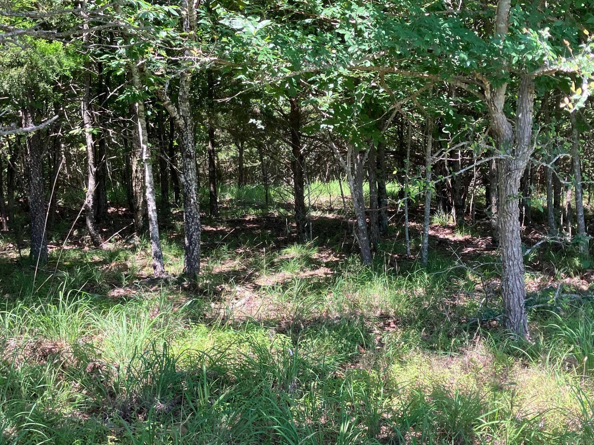 TBD Tract 3  Thompson Creek Lane  Mena, AR