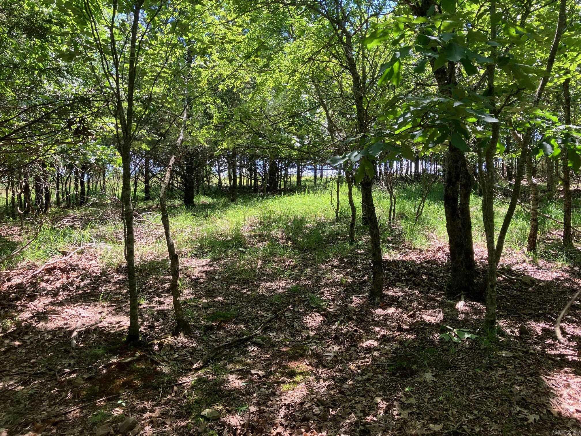 TBD Tract 3  Thompson Creek Lane  Mena, AR