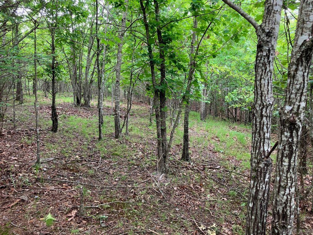 TBD  Thompson Creek Lane  Mena, AR