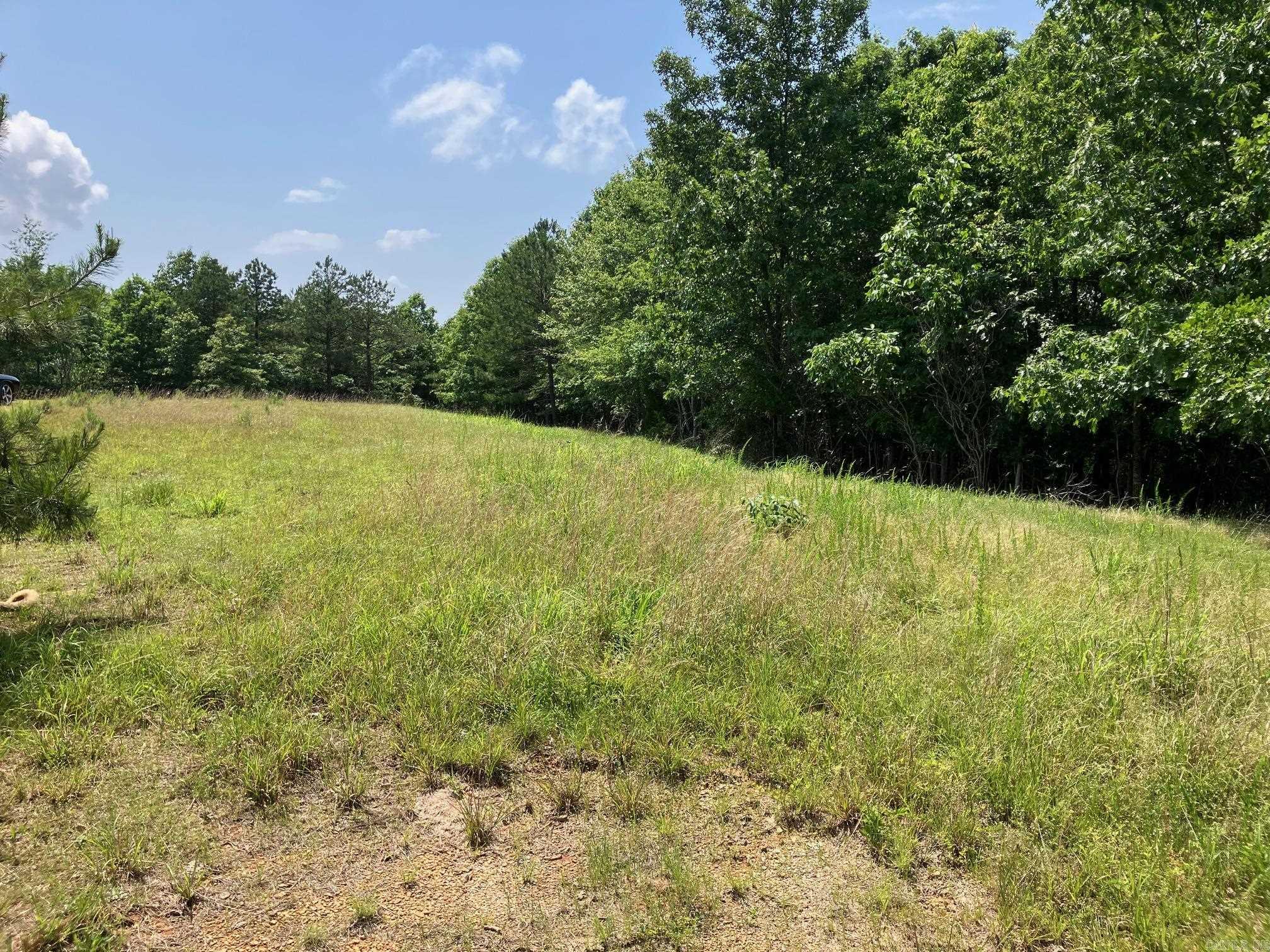 TBD  Thompson Creek Lane  Mena, AR