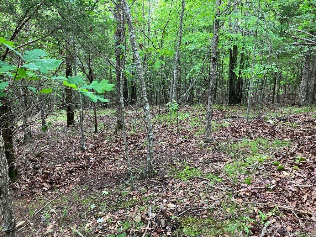 TBD  Thompson Creek Lane  Mena, AR