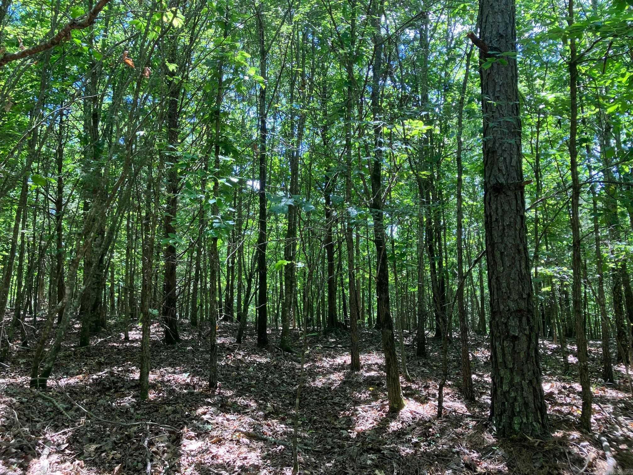 TBD Tract 4  Thompson Creek Lane  Mena, AR