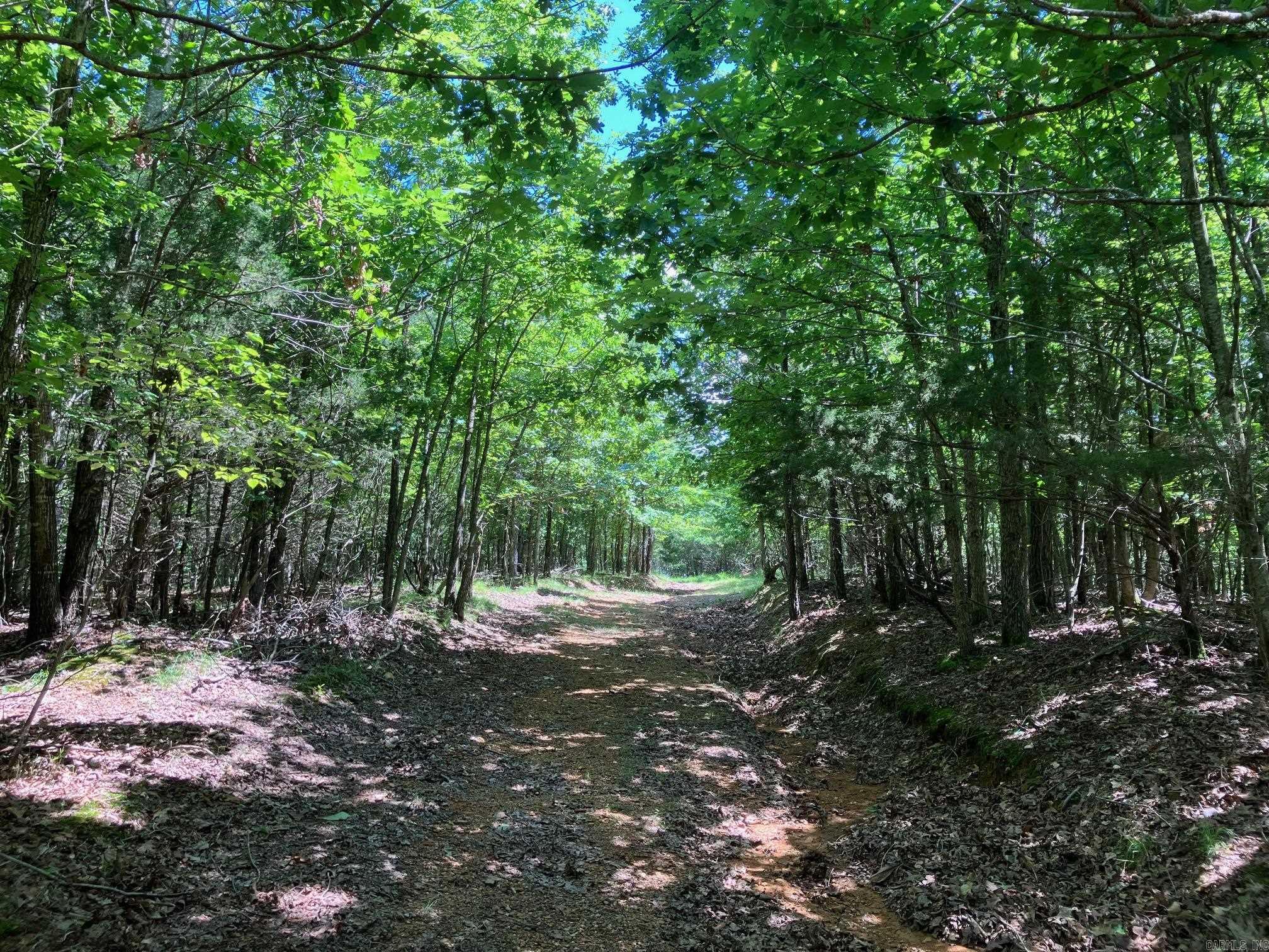 TBD Tract 4  Thompson Creek Lane  Mena, AR