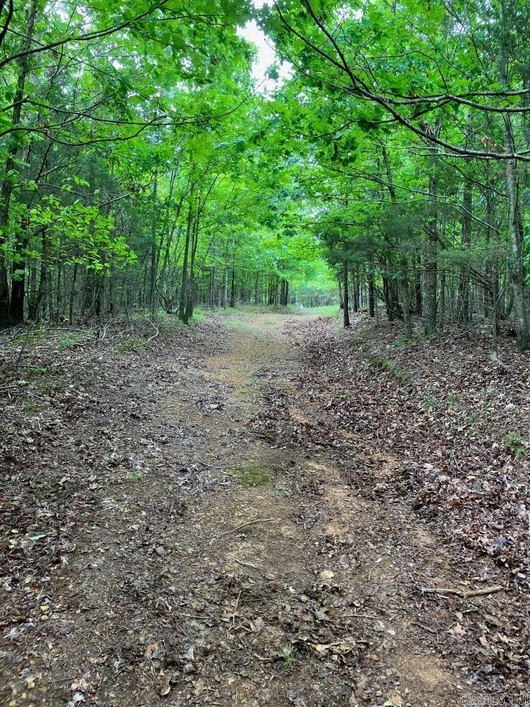 TBD  Thompson Creek Lane  Mena, AR