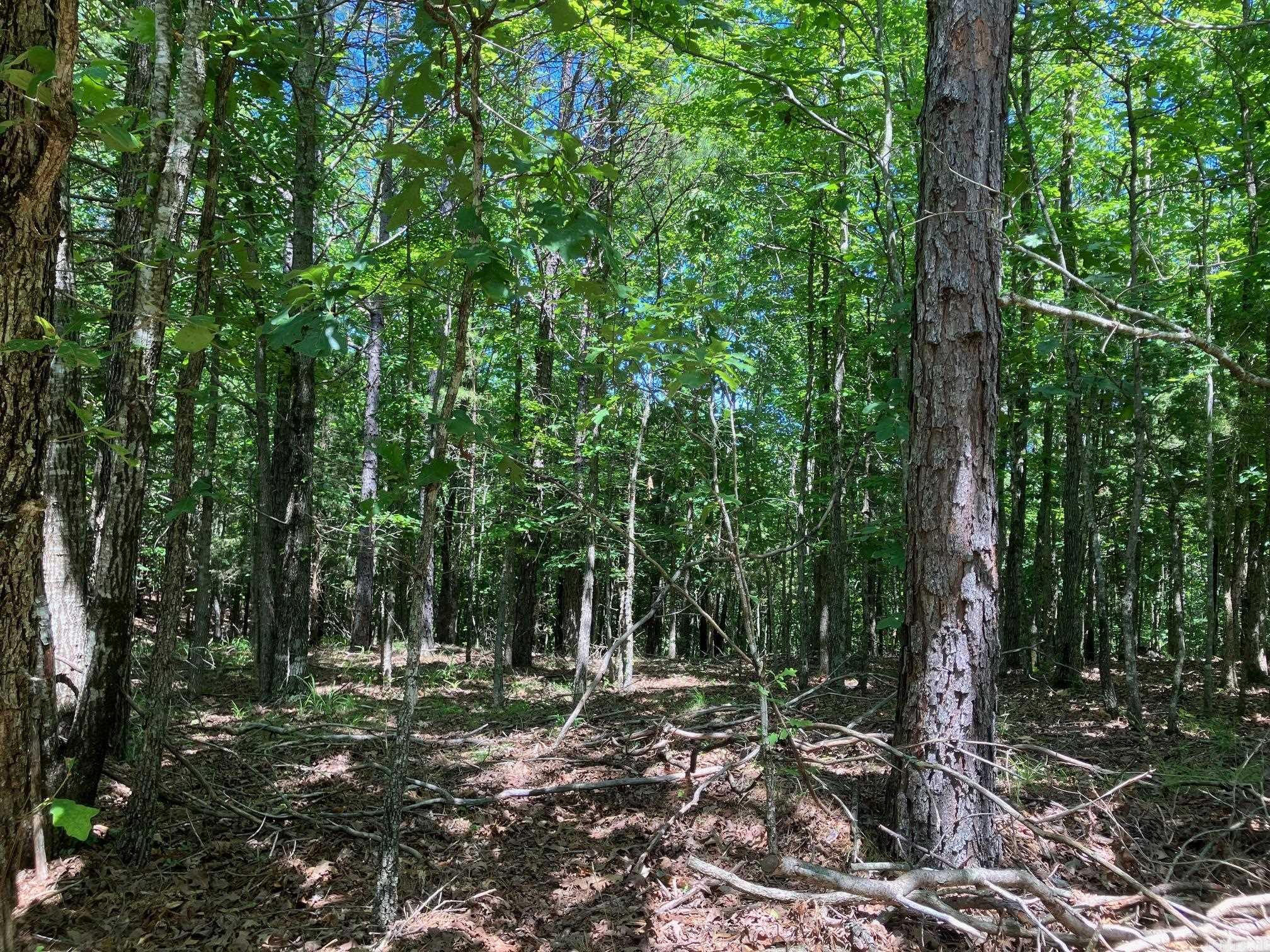 TBD Tract 4  Thompson Creek Lane  Mena, AR