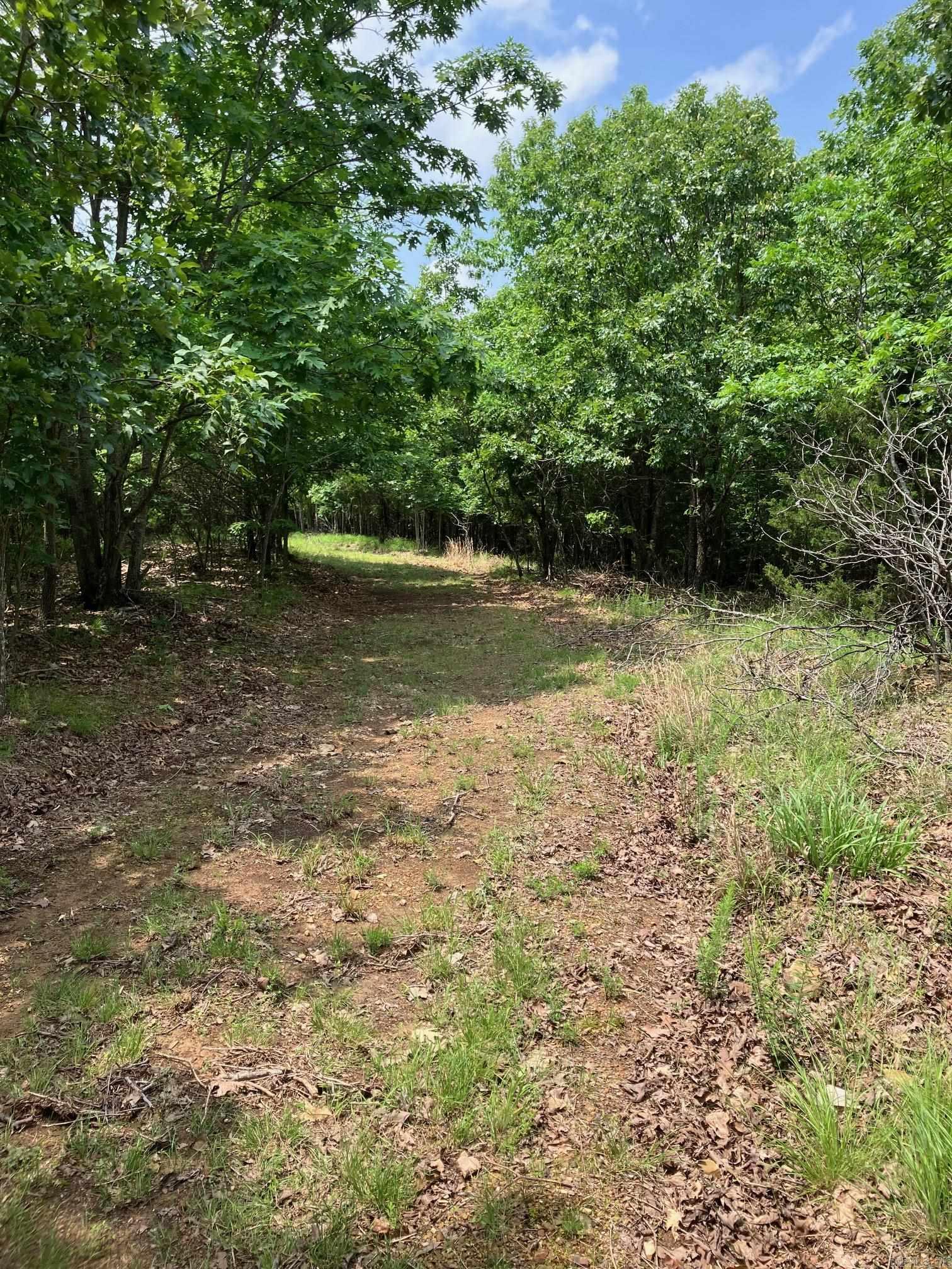 TBD  Thompson Creek Lane  Mena, AR